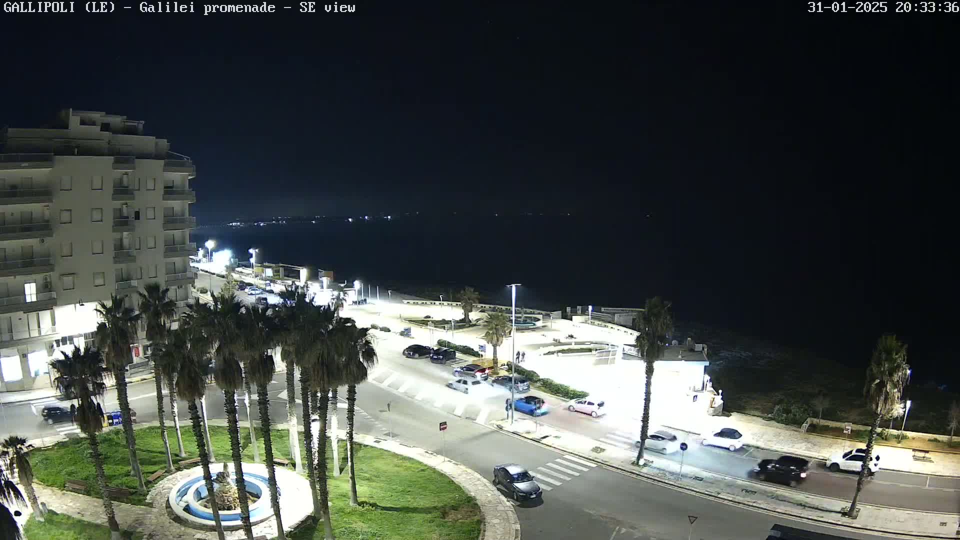 A nighttime, overhead view of a coastal promenade with palm trees, a few cars, and a multi-story building, overlooking a dark sea under a clear sky.