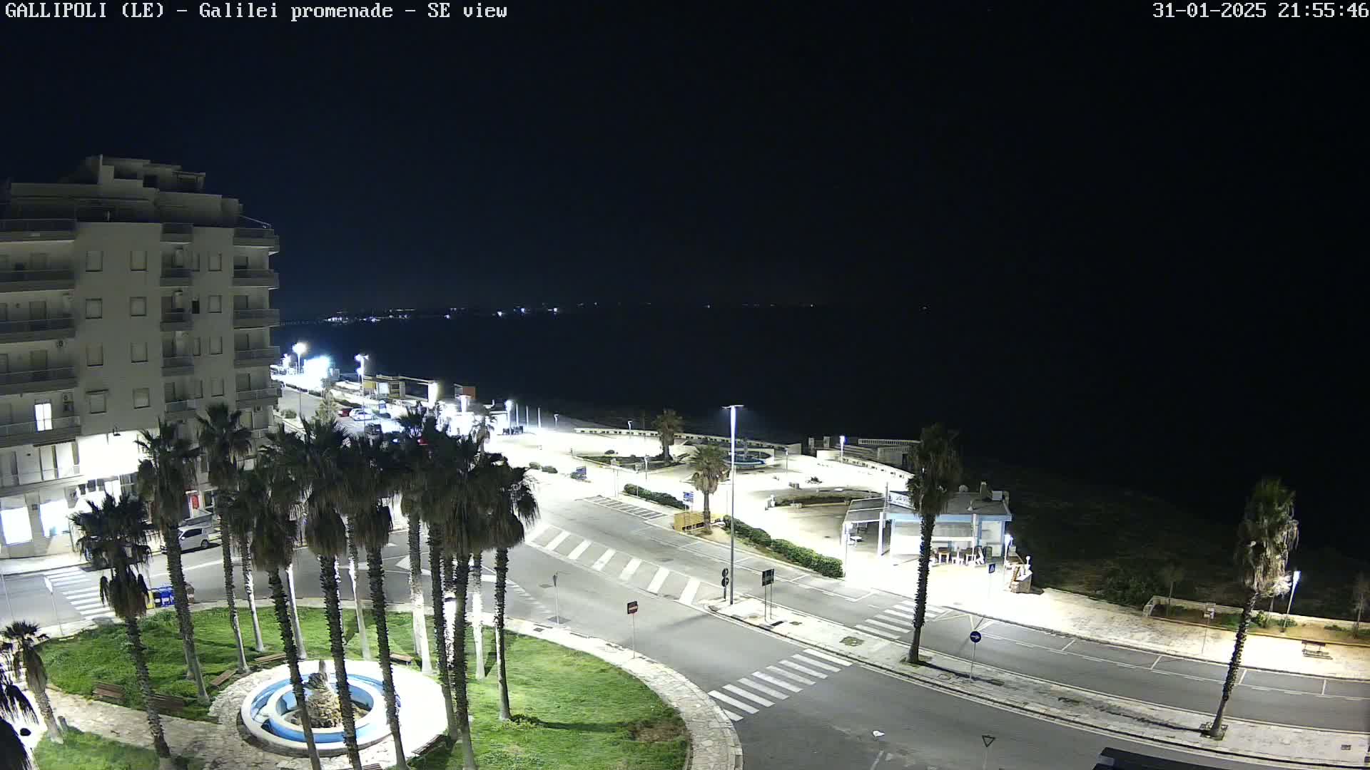 A nighttime, high-angle view of a seaside promenade with palm trees, a building, and parked cars under a clear, dark sky.