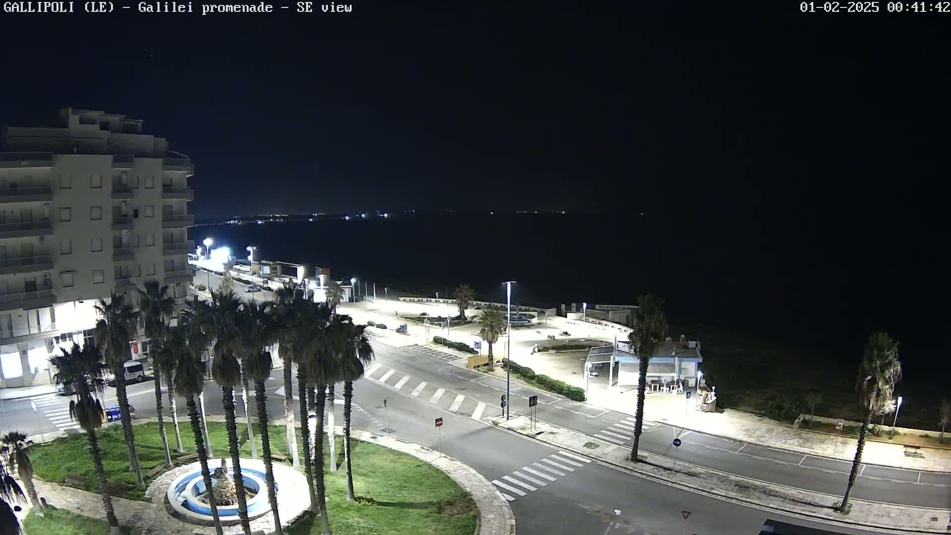 A nighttime, high-angle view of a coastal town shows a multi-story building, palm trees lining a road leading to a waterfront parking lot, and a calm, dark sea in the background.