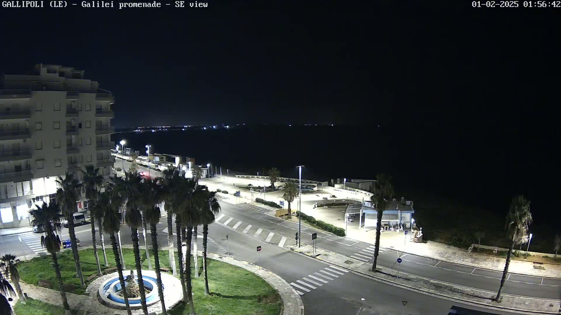 A nighttime, high-angle view shows a seaside promenade with palm trees, a building, and a roundabout, under a clear, dark sky.