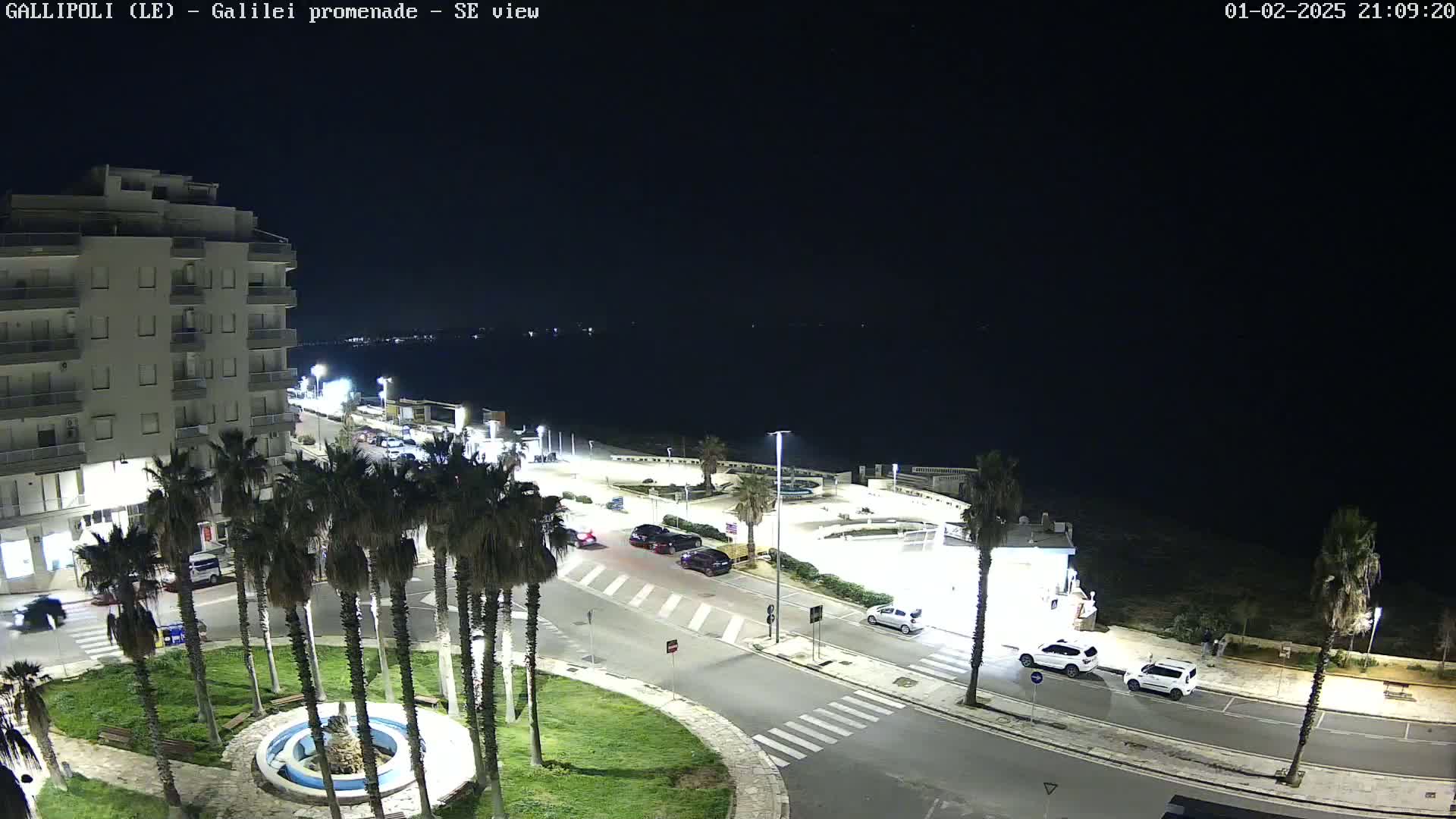 A nighttime, aerial view shows a coastal town with palm trees lining a roadway near a body of water under a clear, dark sky.