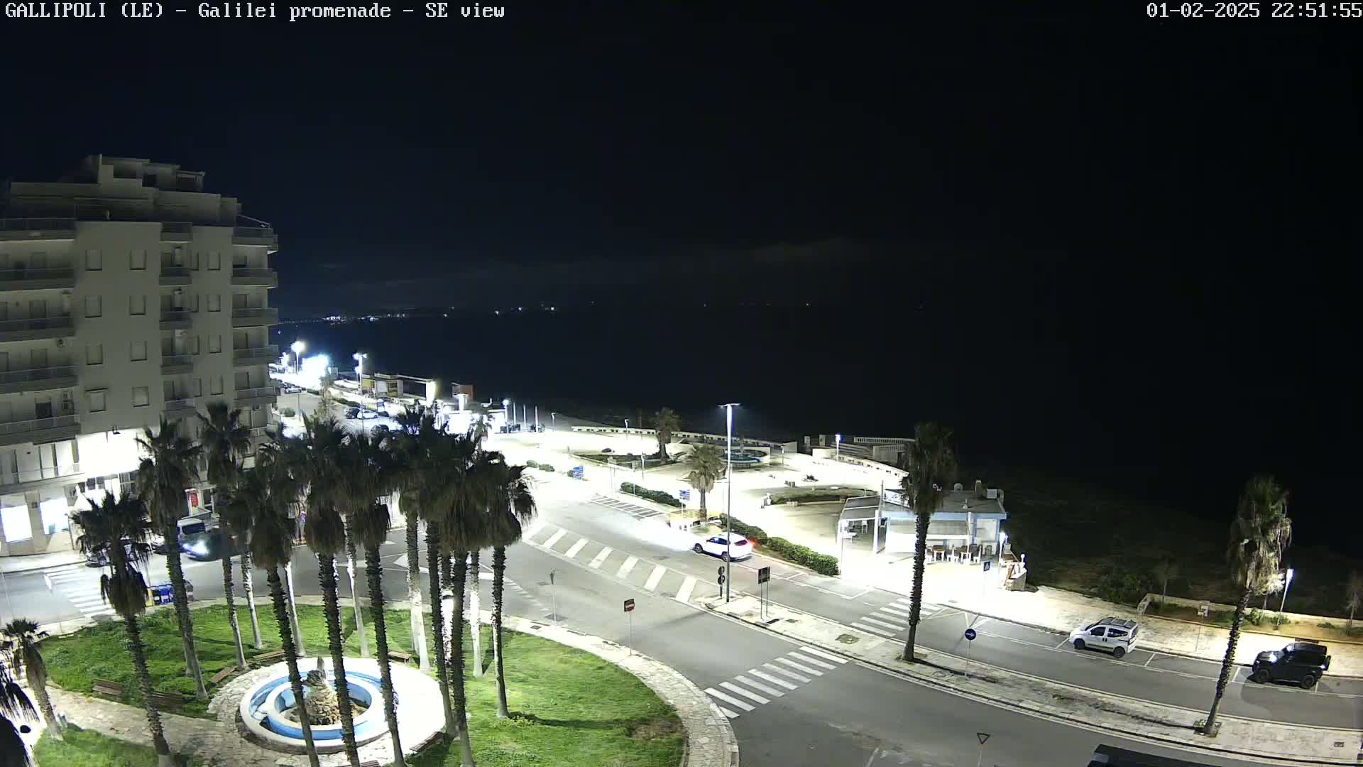 A nighttime, high-angle view of a seaside town showing a multi-story building, palm trees lining a roadway, cars parked along the street, a small roundabout, and a dark body of water in the background.