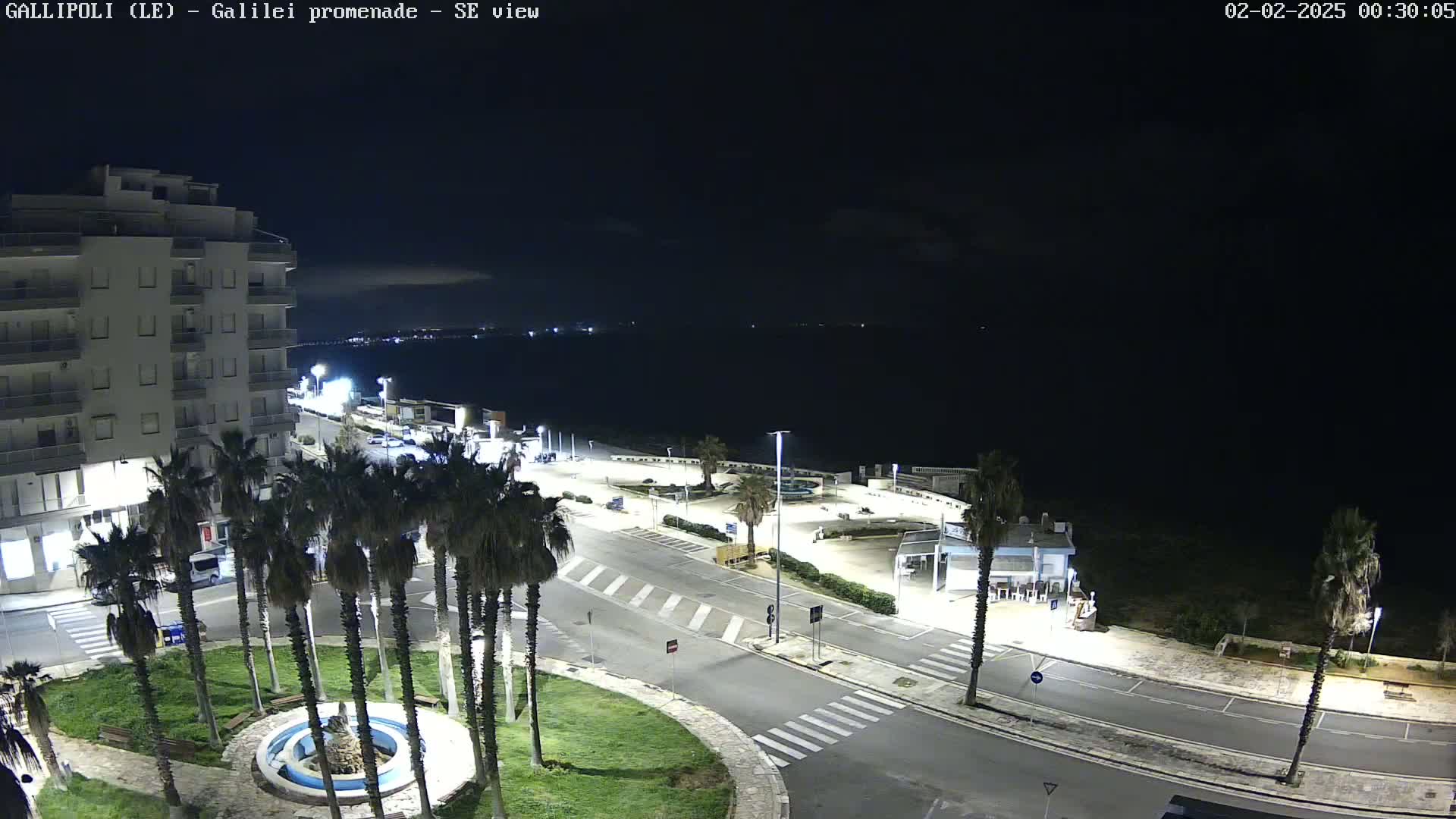 A nighttime, high-angle view shows a coastal town with palm trees lining a roadway leading to a dark body of water under a clear sky.