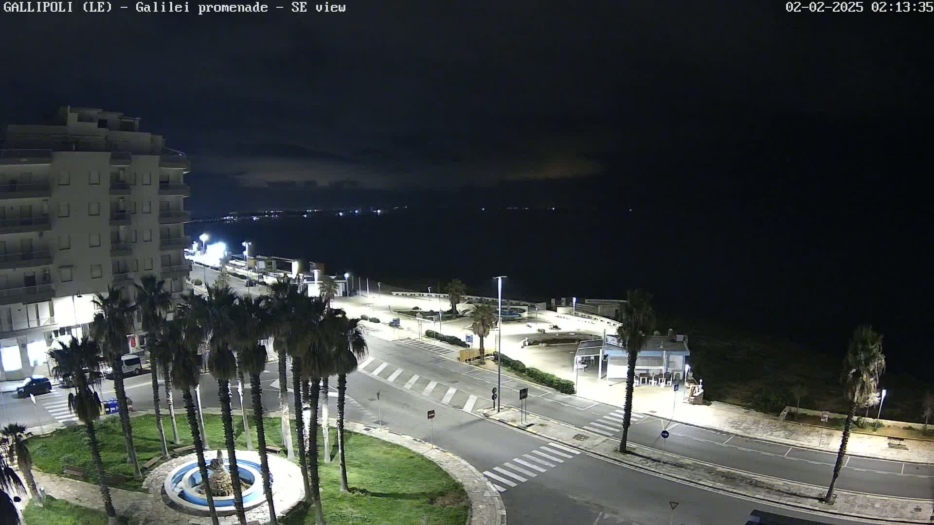 A nighttime, high-angle view of a coastal town with palm trees lining a roadway that leads to a calm, dark sea under a mostly clear sky.