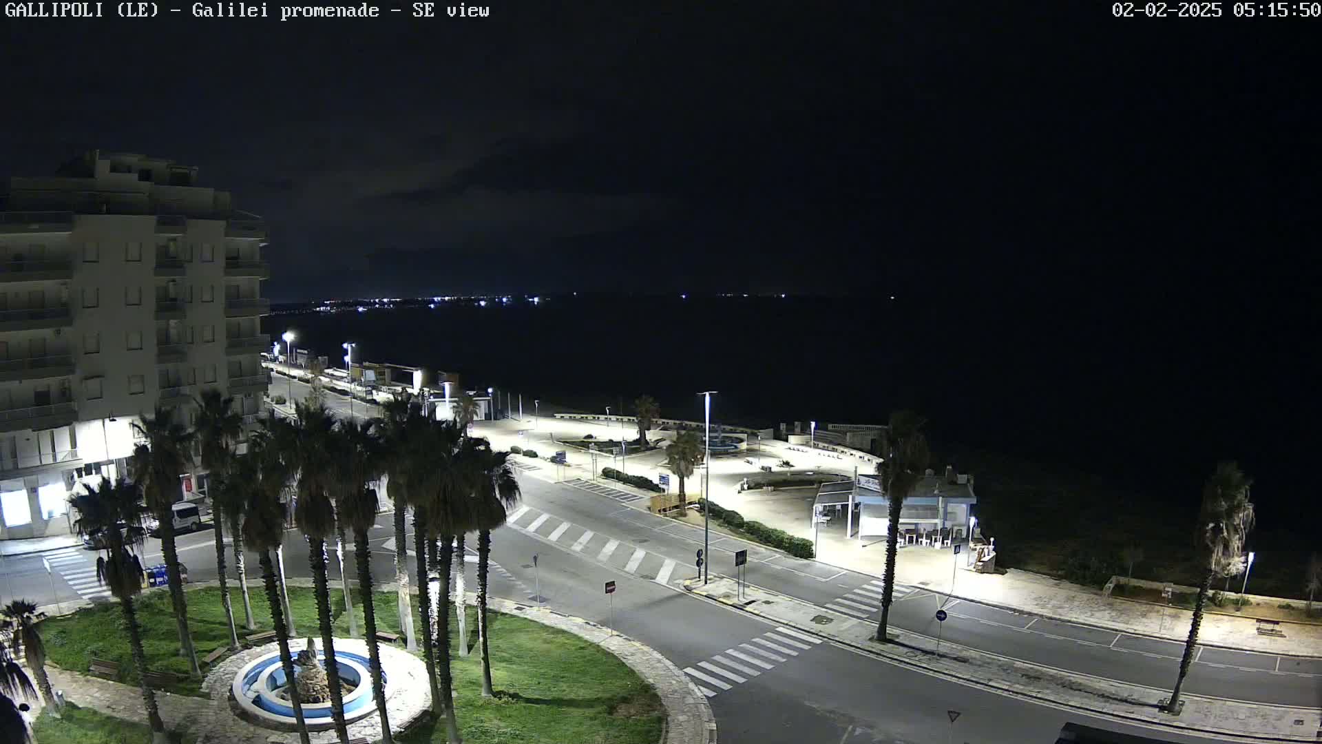 A nighttime, high-angle view of a seaside promenade with palm trees, a building, and a fountain, under a dark, clear sky.