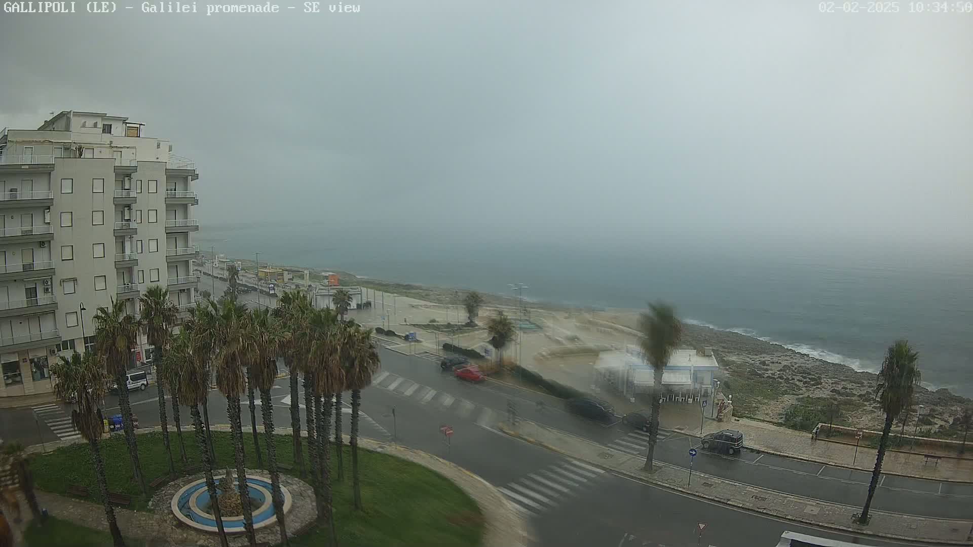 A rain-swept coastal scene shows a multi-story building, palm trees, a road, and a rocky shoreline with a hazy sea beyond.
