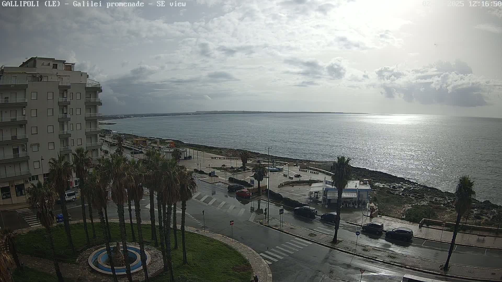A seaside promenade with palm trees, buildings, and parked cars is shown on a cloudy day with wet roads.
