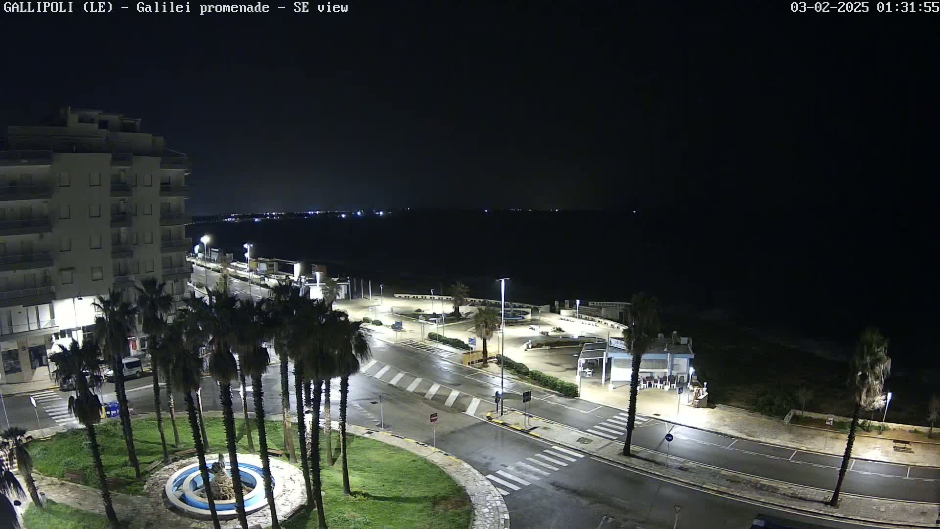 A nighttime, wet view of a coastal town with palm trees lining a roadway leading to a dark ocean, illuminated by streetlights.