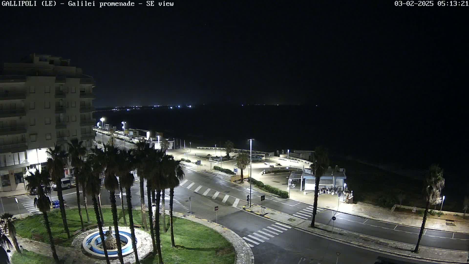 A nighttime, wet, overhead view of a seaside promenade with palm trees, a building, and empty roads.