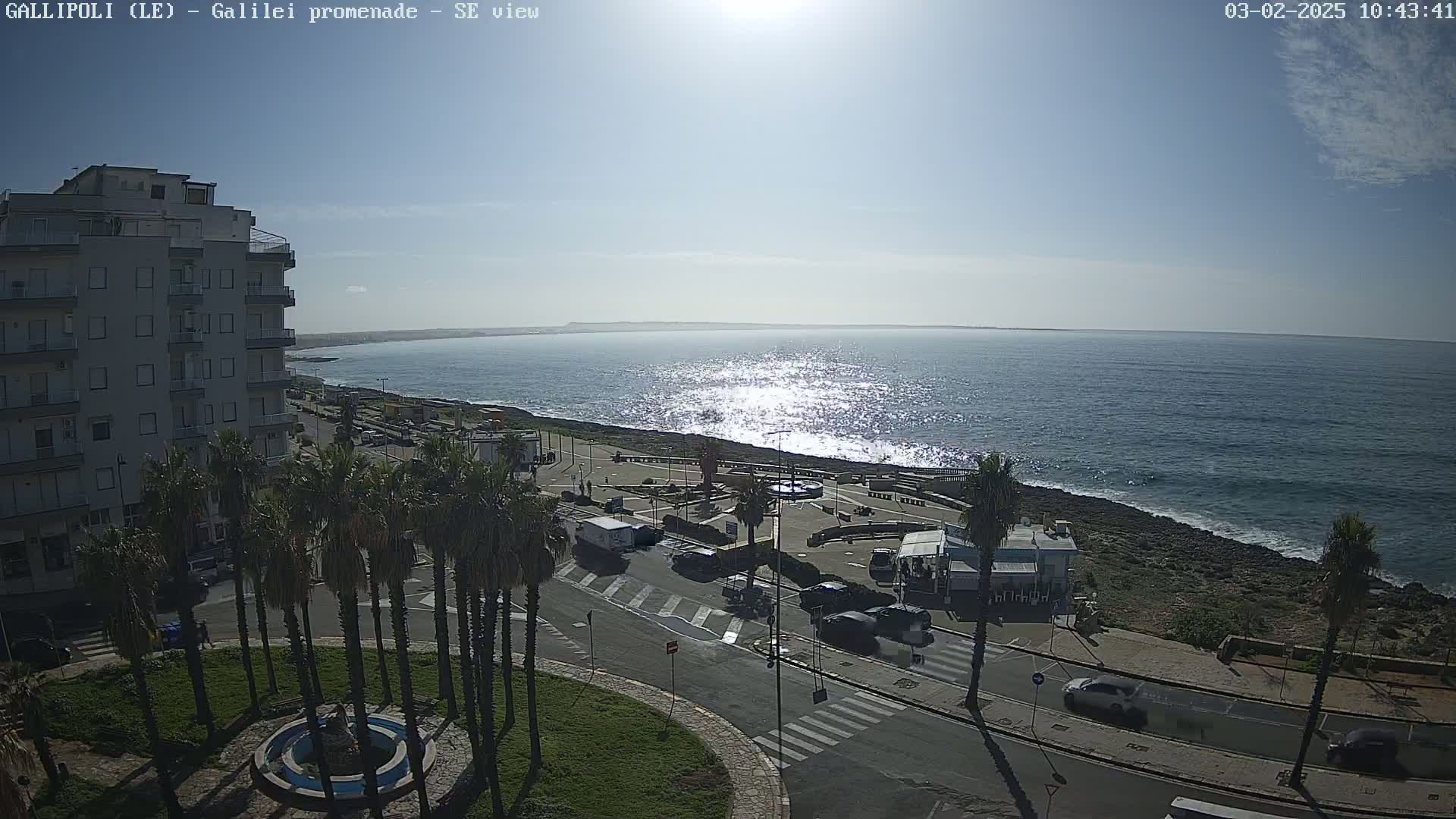A sunny day overlooking a seaside town with palm trees, a road, buildings, and a calm ocean with slight waves.