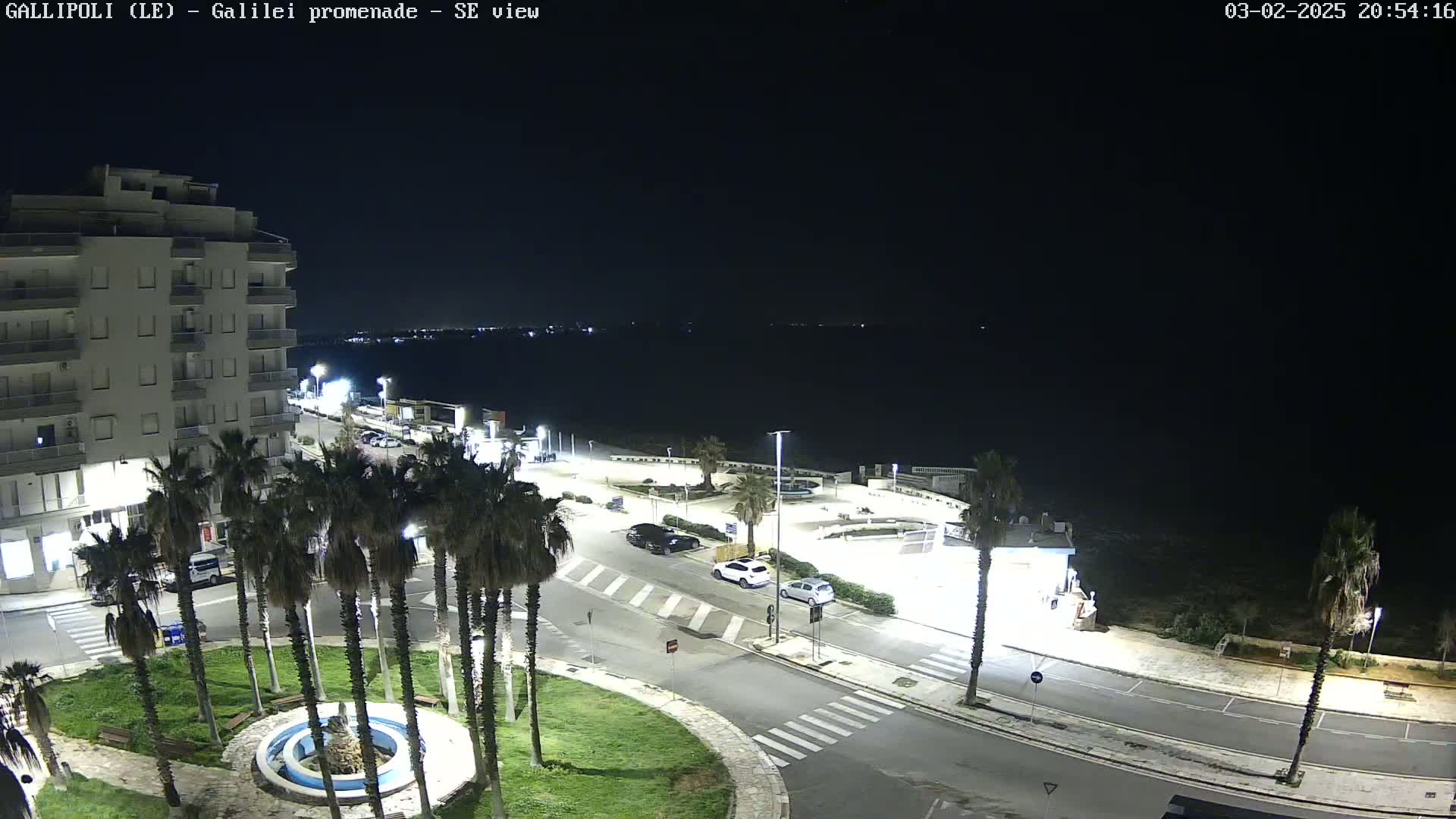 A nighttime aerial view shows a seaside town with palm trees lining a road next to a building, with several cars parked nearby, and calm water visible in the background under a dark sky.