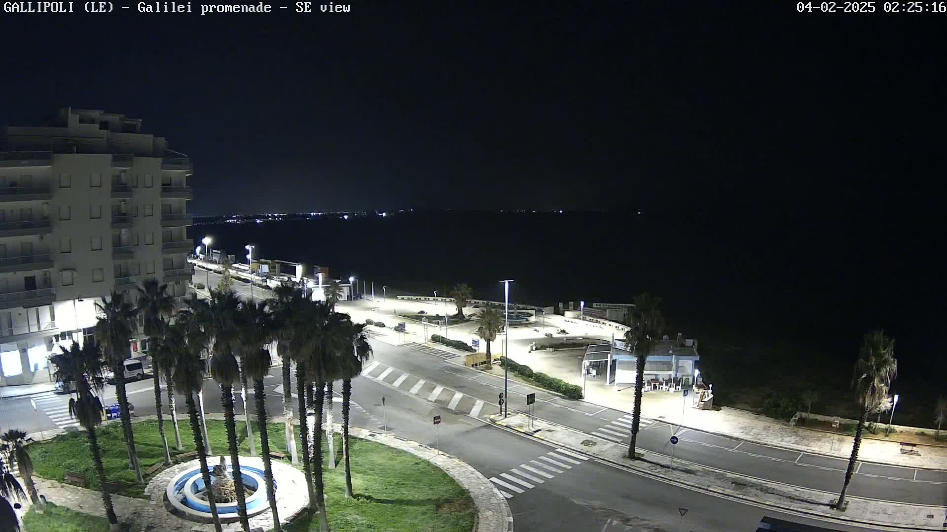 A nighttime view of a seaside promenade shows a calm body of water under a dark sky, with palm trees lining a roadway next to a multi-story building.