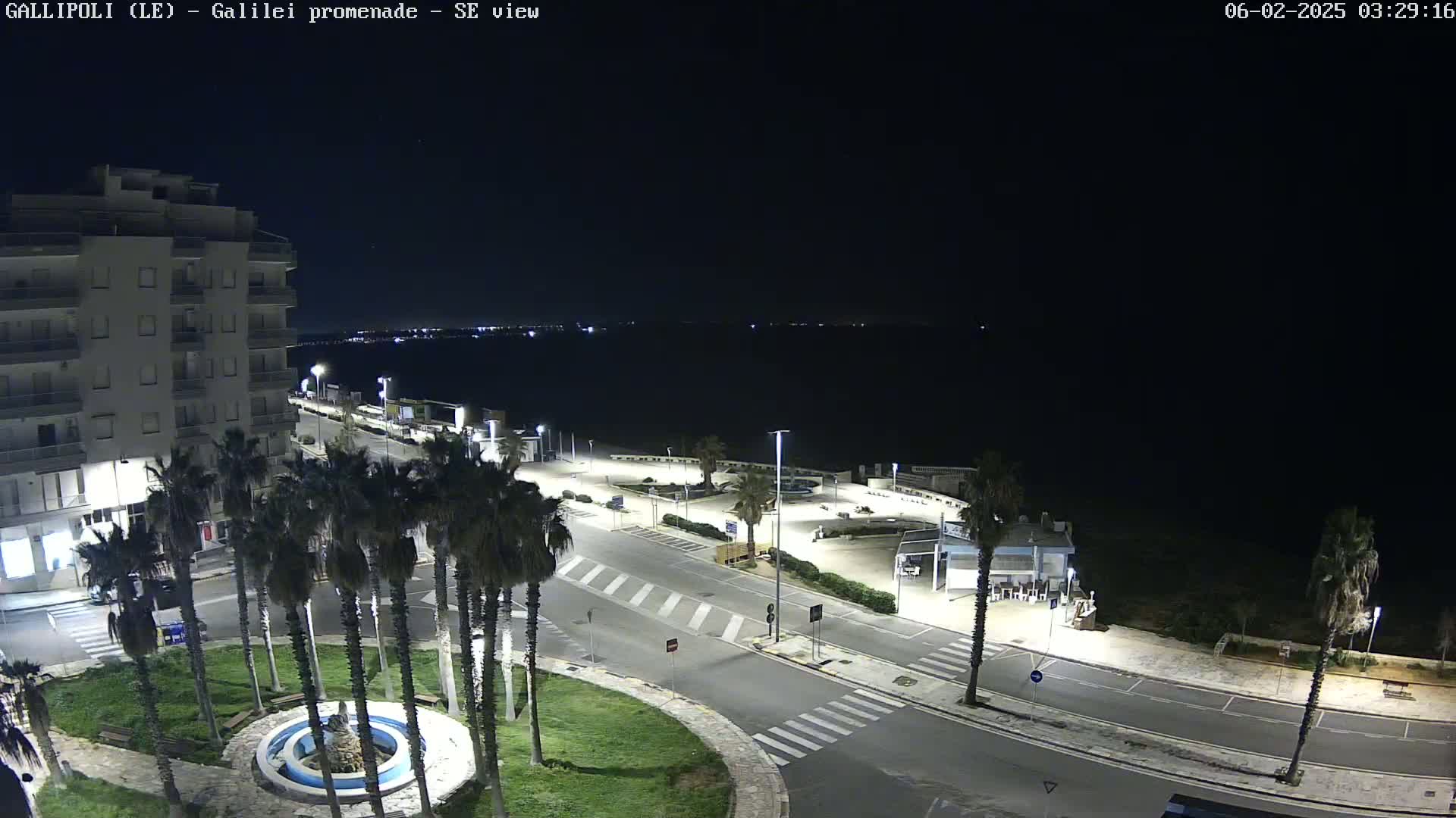 A nighttime, high-angle view of a coastal city street scene with palm trees lining a circular area and a building in the background, overlooking a dark body of water.