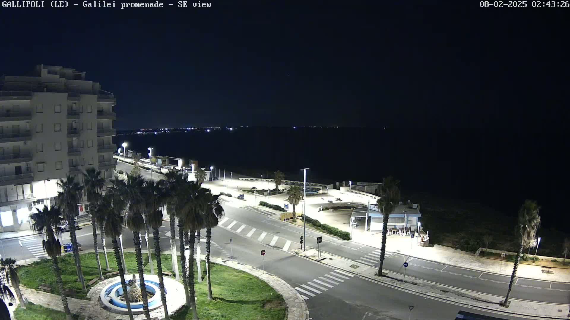 A nighttime, high-angle view of a seaside town with palm trees lining a road leading to a dark body of water.