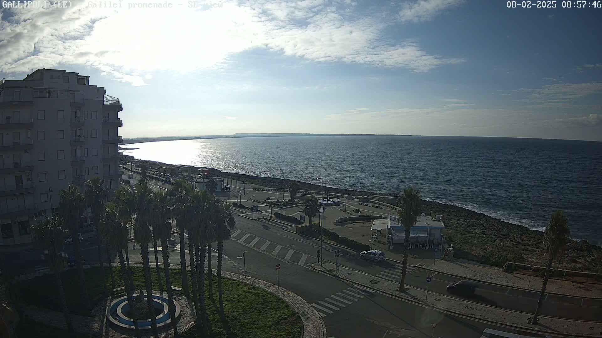 A seaside town scene under a partly cloudy sky shows a multi-story building, palm trees, a paved road, and a calm sea stretching to the horizon.