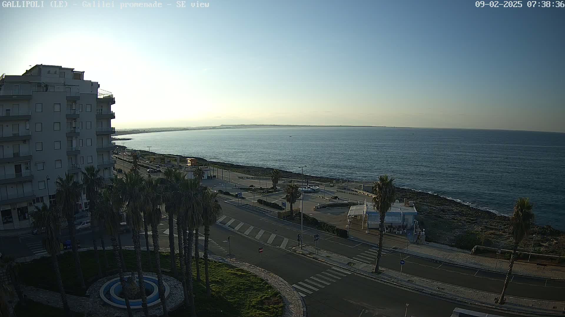 A seaside promenade with palm trees, a multi-story building, and a calm ocean under a clear, light-blue sky.