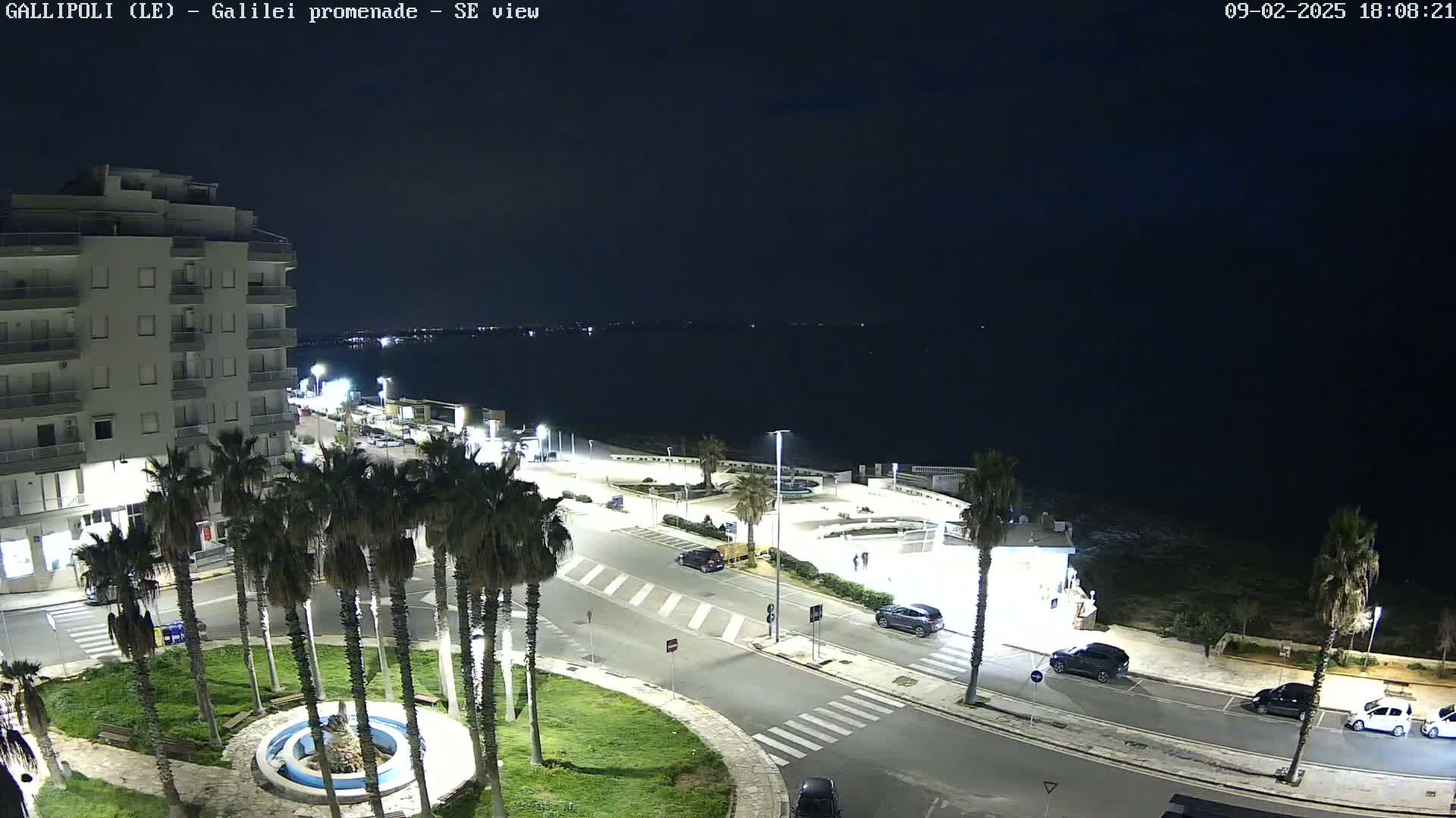 A nighttime, seaside view shows a paved promenade with cars parked along the side, palm trees lining a grassy area, and a multi-story building in the background.
