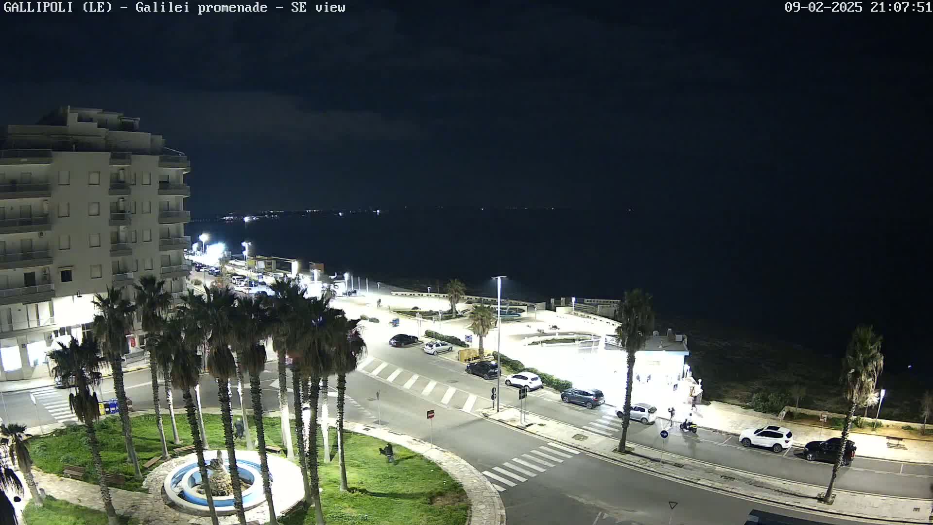 A nighttime, high-angle view of a coastal town with a multi-story building, palm trees lining a circular plaza and a road leading to a waterfront parking area, under a dark, clear sky.