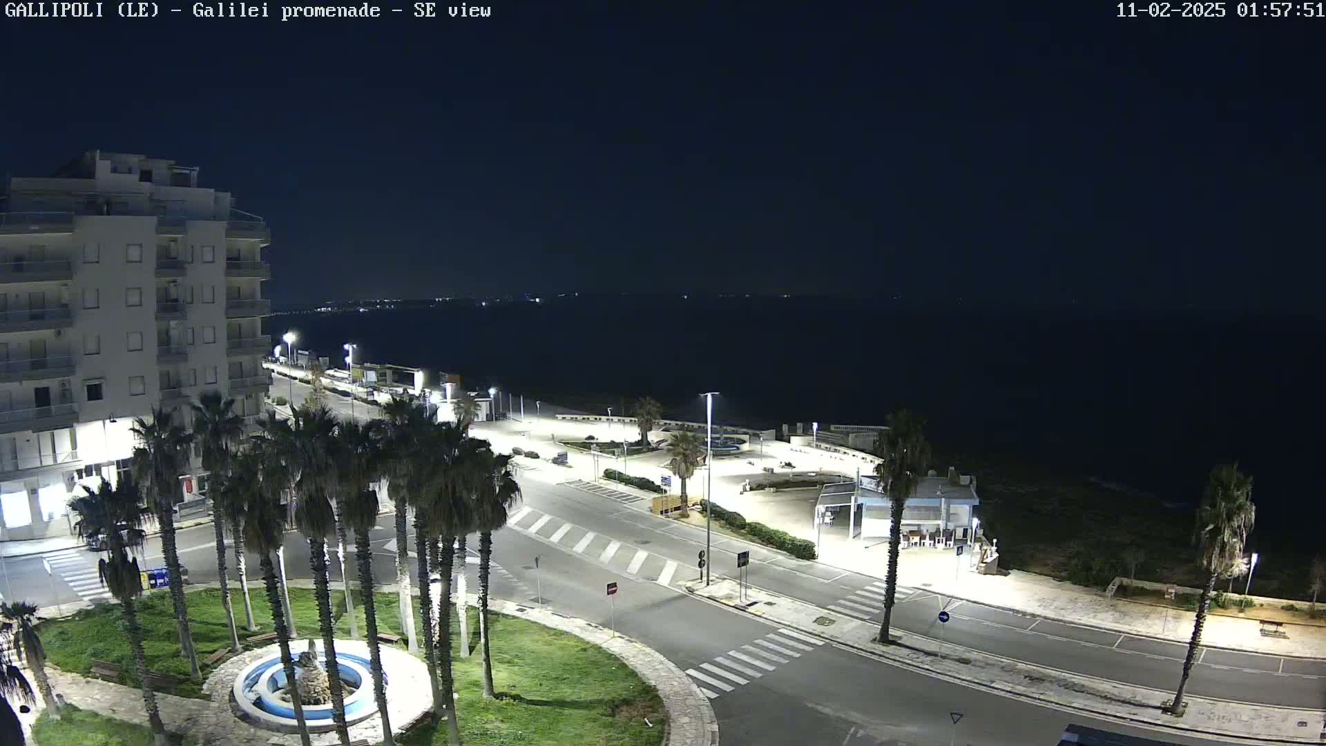 A nighttime, high-angle view shows a coastal town with palm trees lining a road that leads to a dark ocean under a clear sky.
