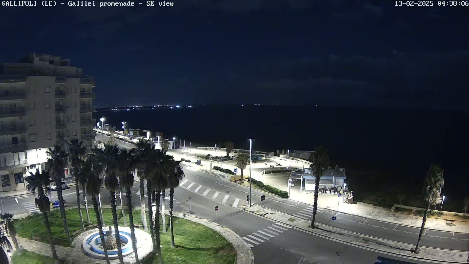 A nighttime, high-angle view of a coastal town with palm trees lining a road leading to a dark sea under a mostly clear sky.