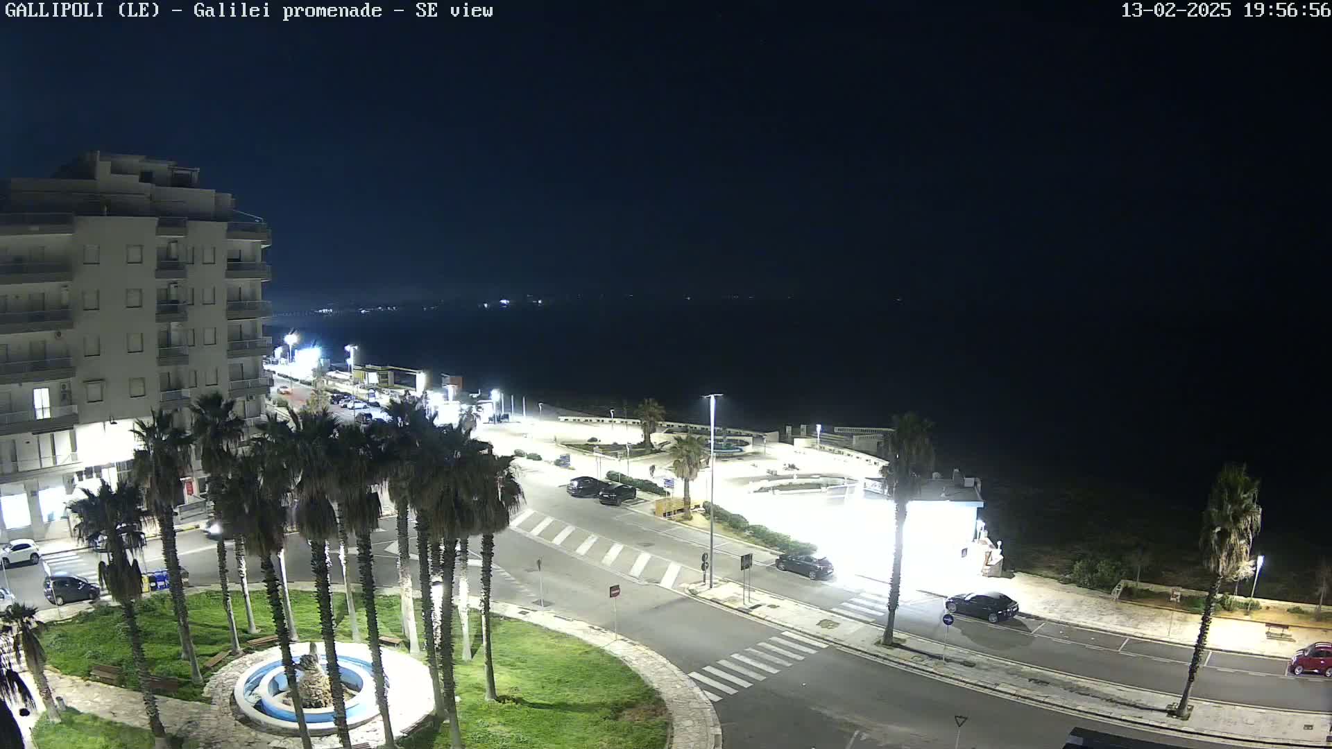 A nighttime view of a seaside promenade with palm trees, cars, and a multi-story building under a clear, dark sky.