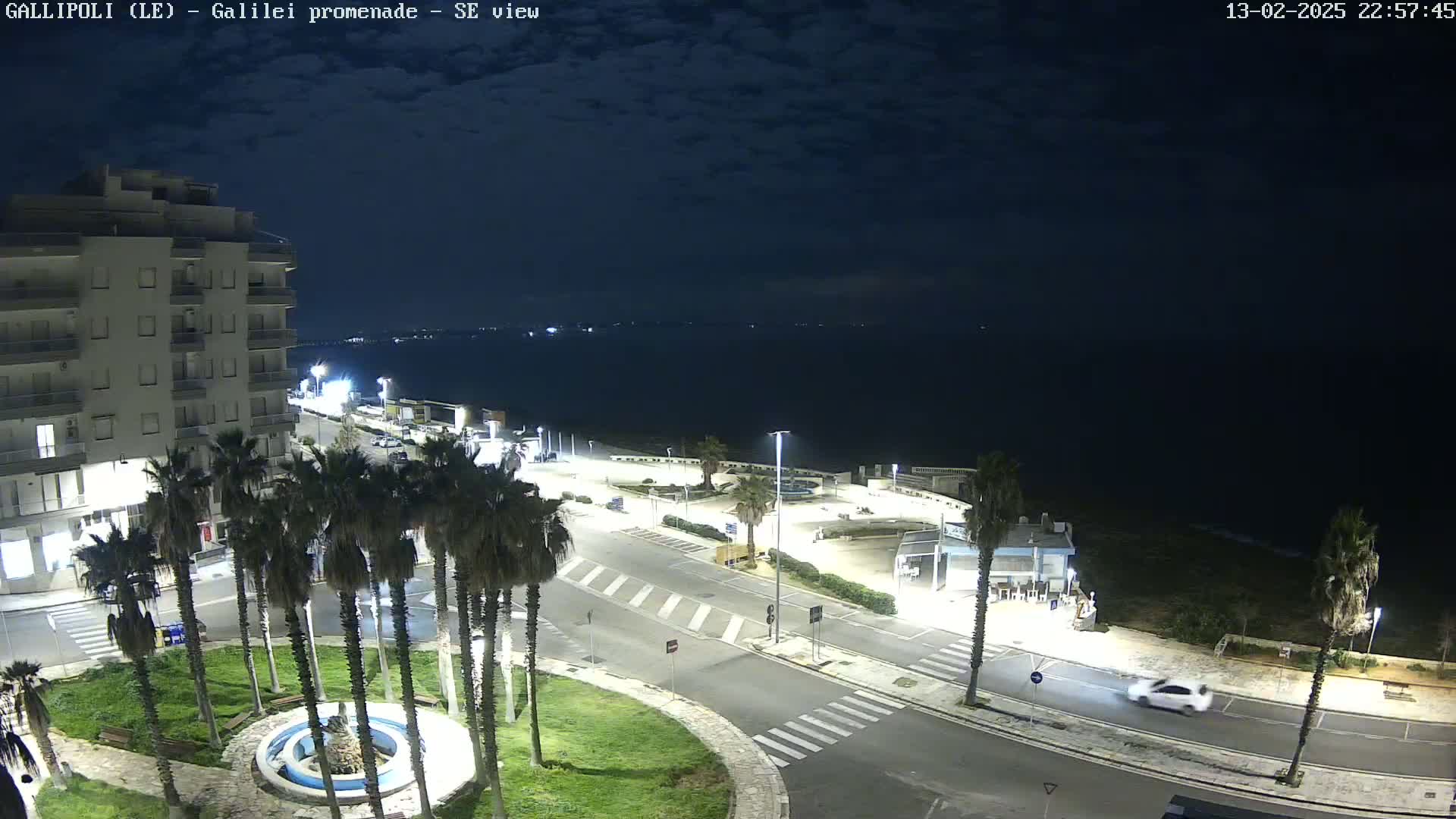 A nighttime, overhead view of a coastal town shows a roadway, palm trees, a building, and a dark sea under a mostly clear sky.