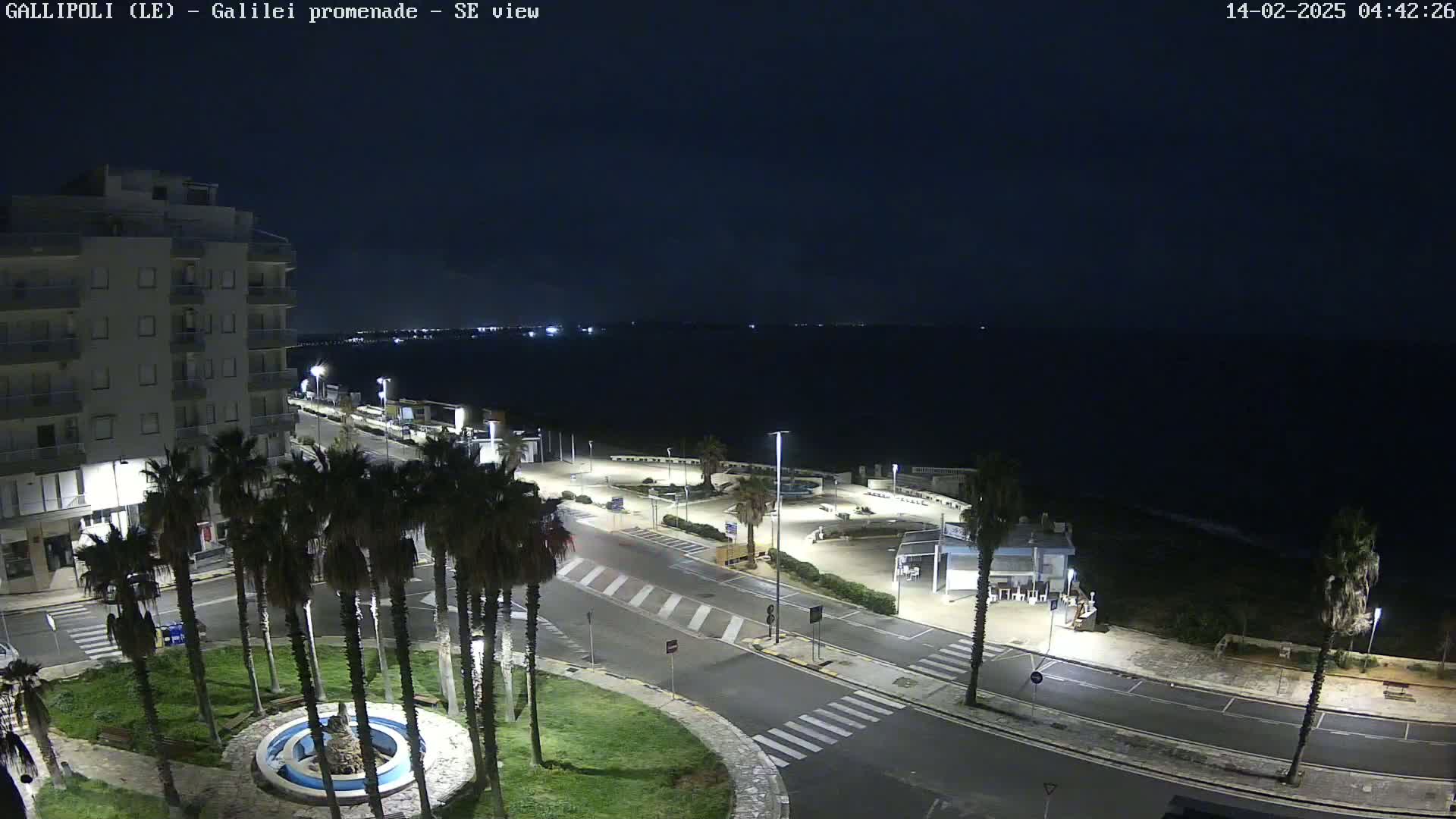 A nighttime view of a coastal town shows a dark ocean, palm trees lining a paved road near a building, and a small fountain in a circular plaza.