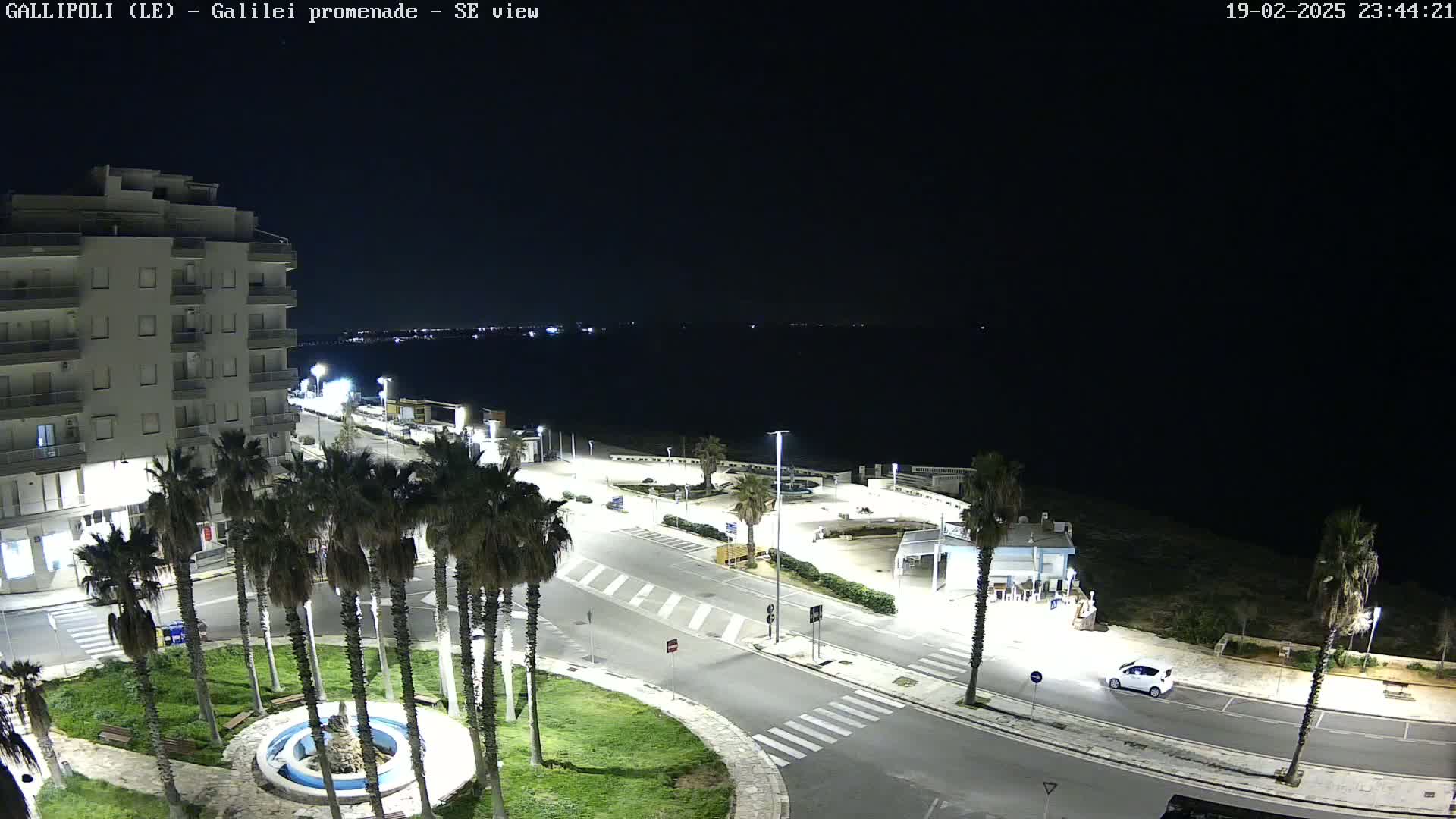 A nighttime, high-angle view of a coastal town featuring palm trees, a building, roads, and a body of water in the background under a clear, dark sky.
