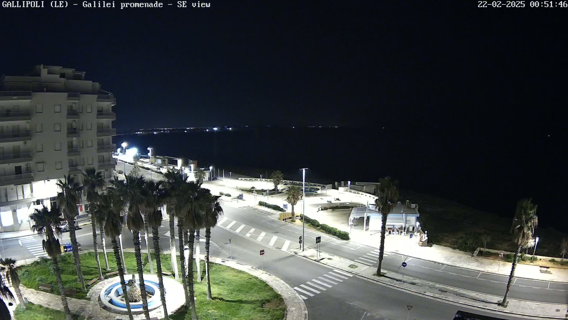 A nighttime, high-angle view of a seaside promenade with palm trees, a building, and a fountain, under a clear, dark sky.