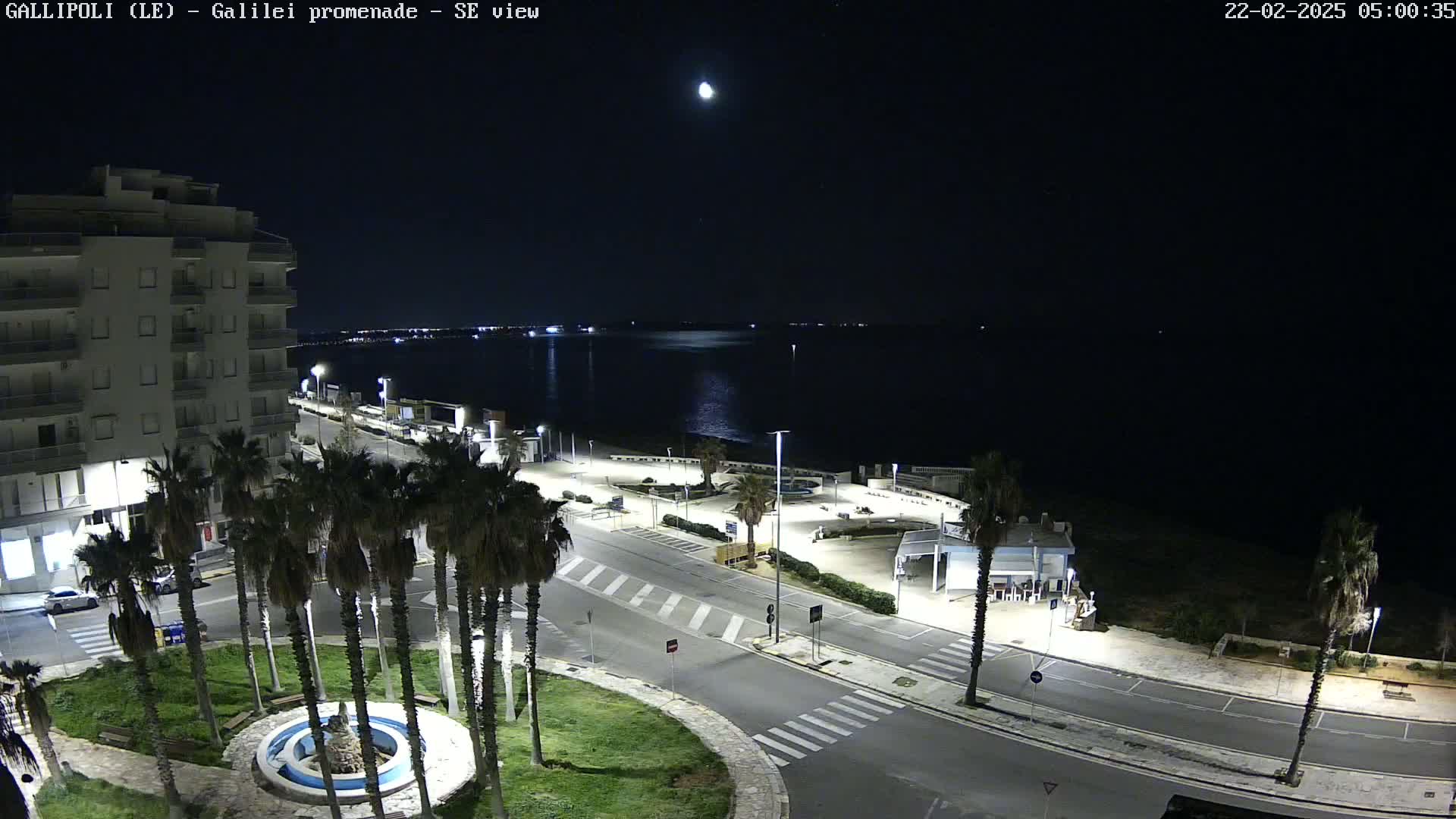 A nighttime, high-angle view of a coastal town with palm trees lining a road leading to a body of water under a clear, moonlit sky.