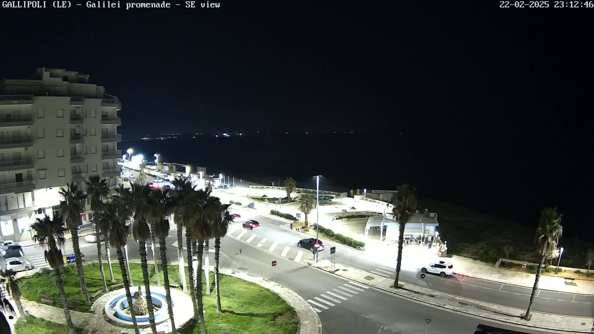 A nighttime, high-angle view shows a coastal town with palm trees lining a roadway near a calm body of water under a clear, dark sky.