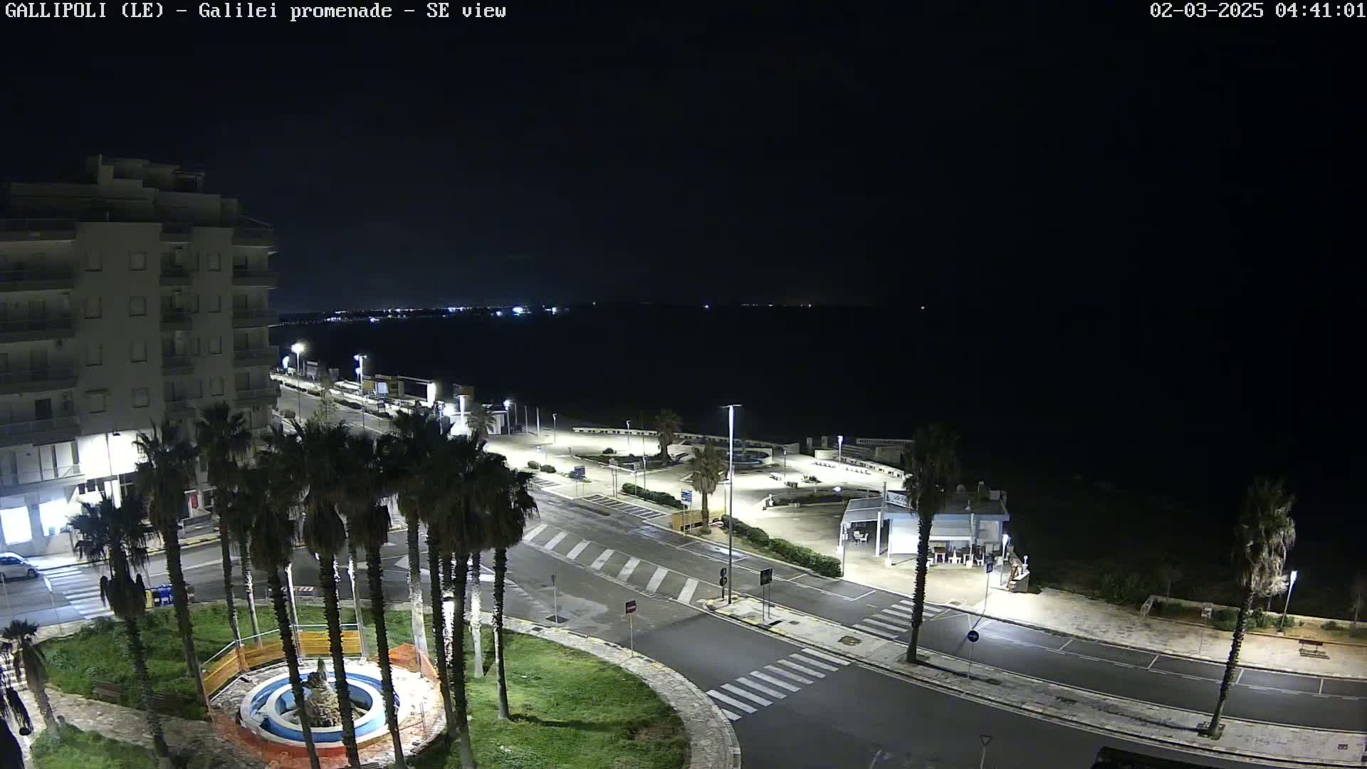 A nighttime, high-angle view of a coastal road lined with palm trees, leading to a dark body of water under a clear sky.
