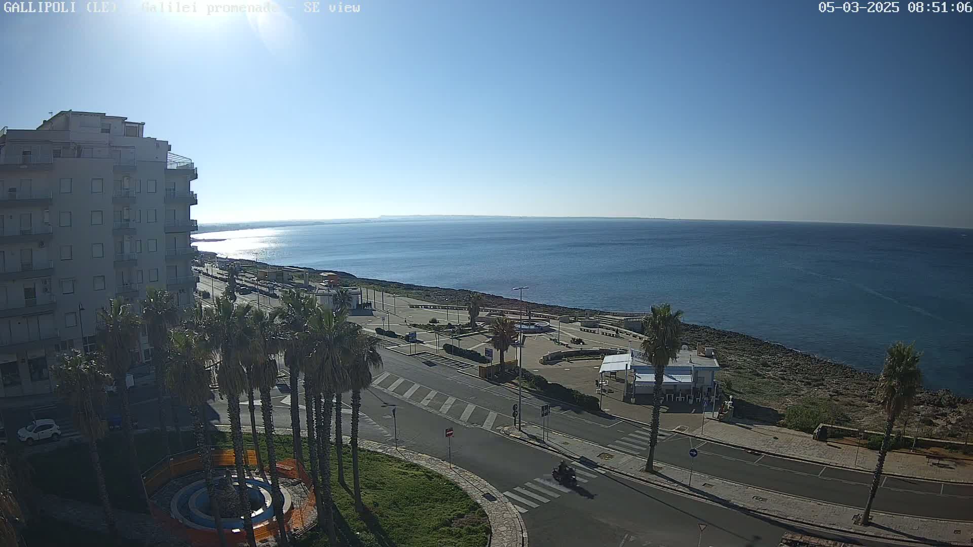 A high-angle, sunny view shows a seaside town with palm trees lining a road that leads to a calm ocean.