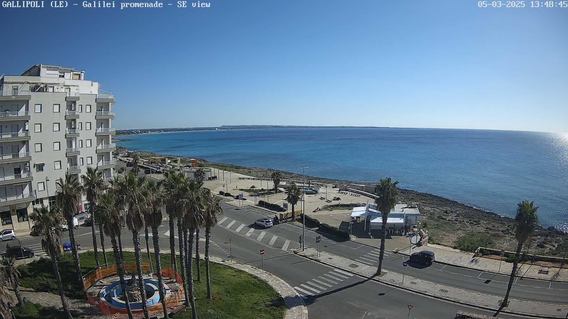 A seaside town with palm trees, a multi-story building, and a paved road leading to the ocean under a clear, sunny sky.