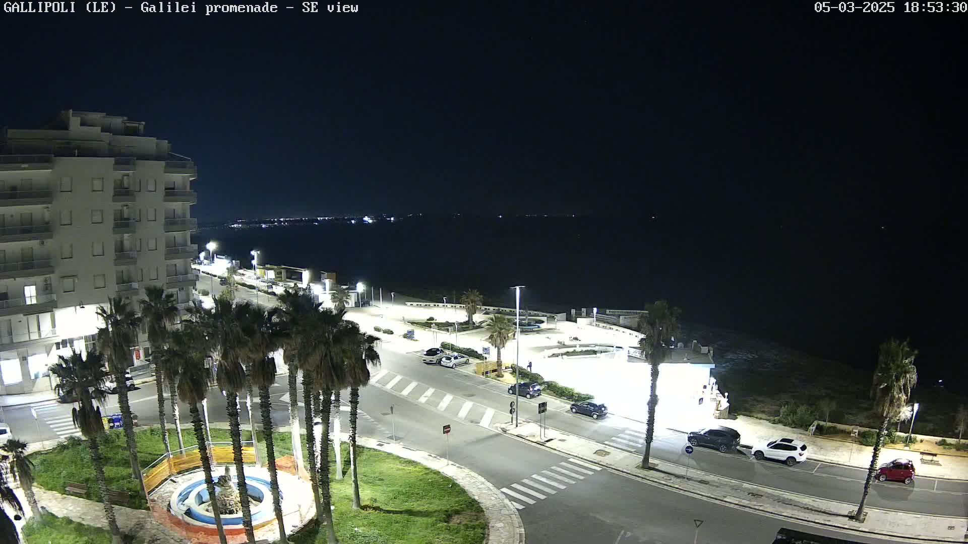 A nighttime, aerial view of a seaside town shows a paved road, palm trees, parked cars, and a building near a dark body of water.