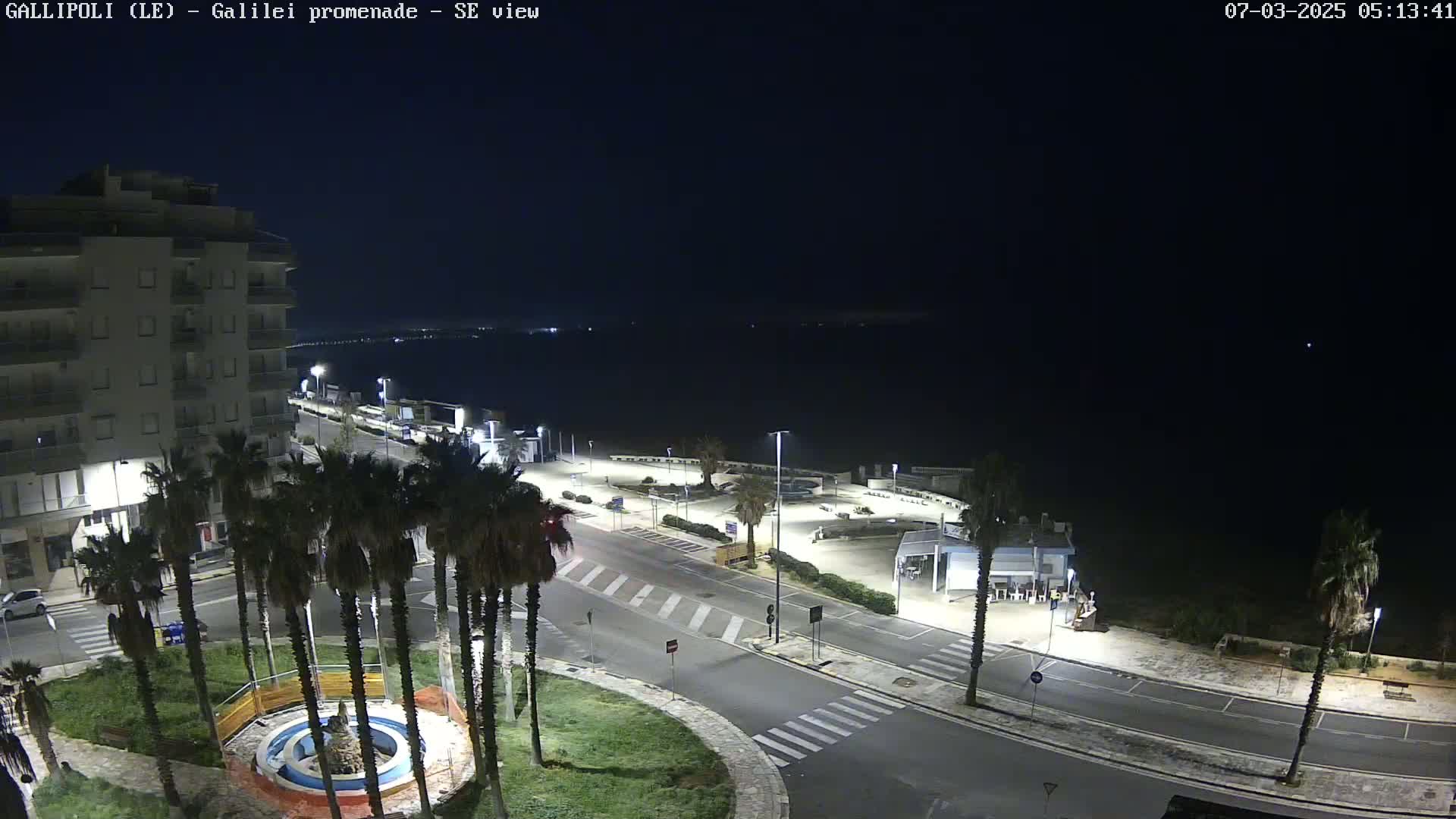 A nighttime view of a coastal road, lined with palm trees and buildings, overlooking a dark body of water under a clear, dark sky.