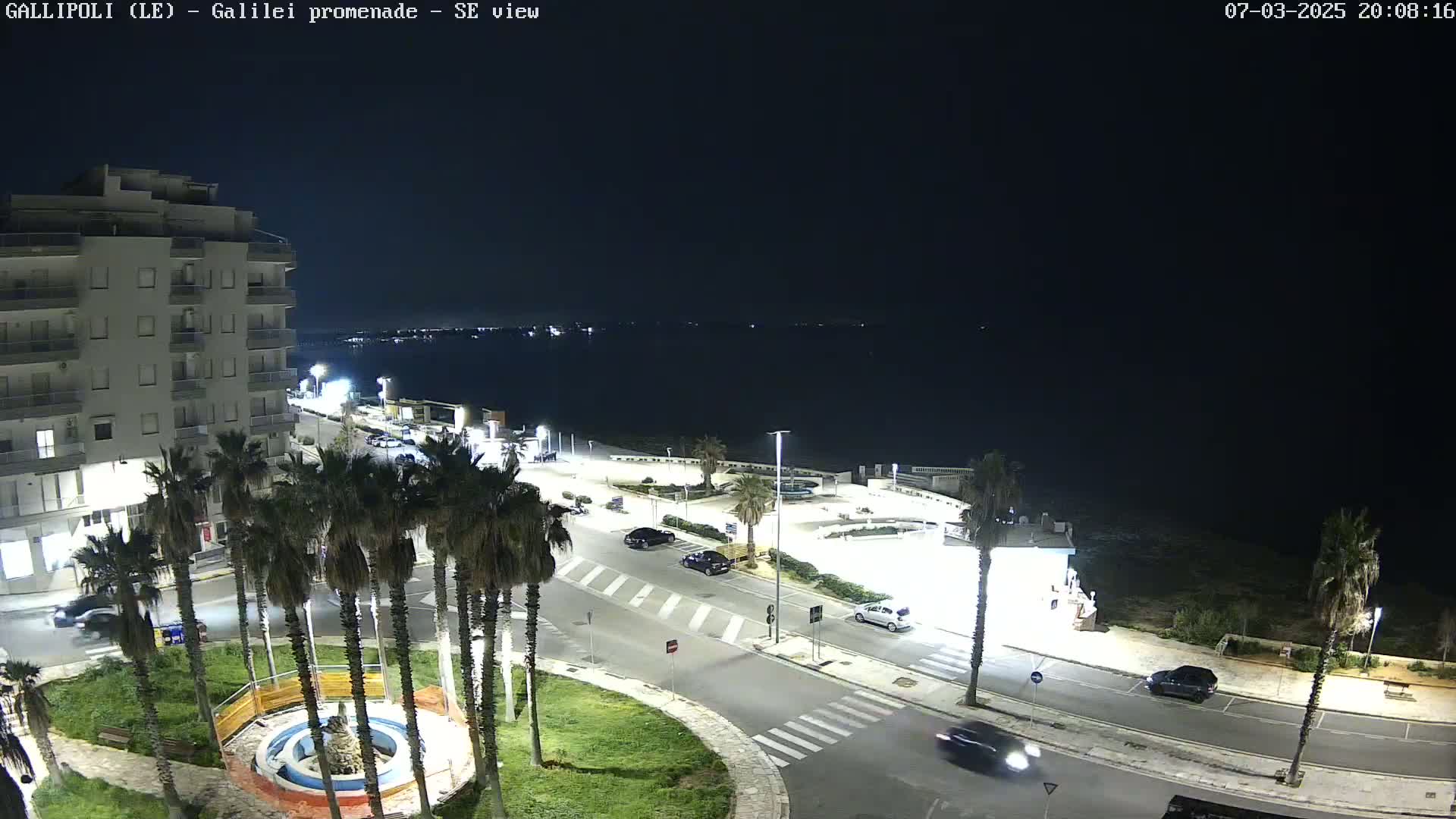 A nighttime, high-angle view shows a coastal town with palm trees lining a roadway near a body of water under a clear, dark sky.