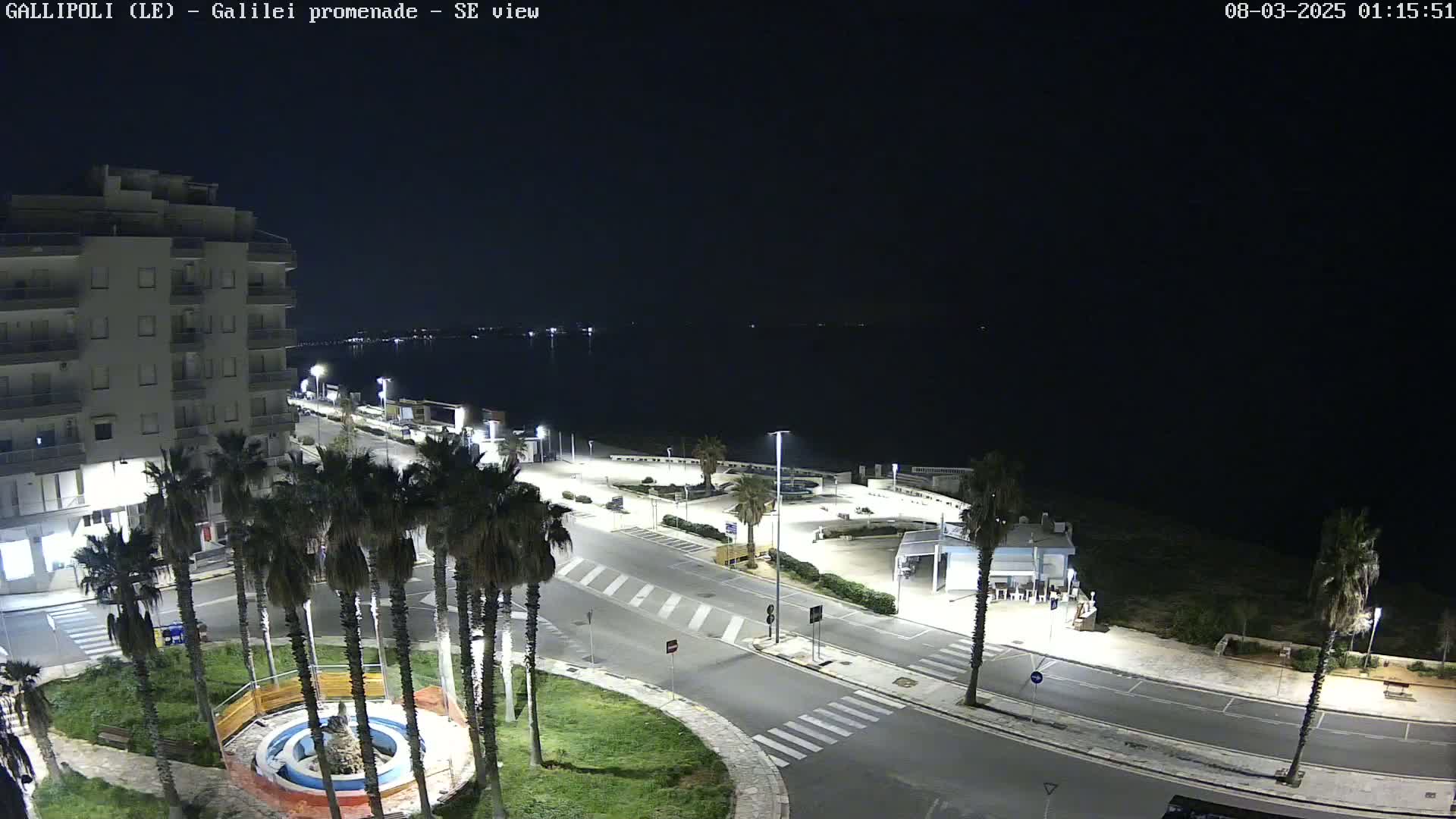 A nighttime, overhead view of a seaside promenade with palm trees, buildings, and a calm, dark body of water in the background.