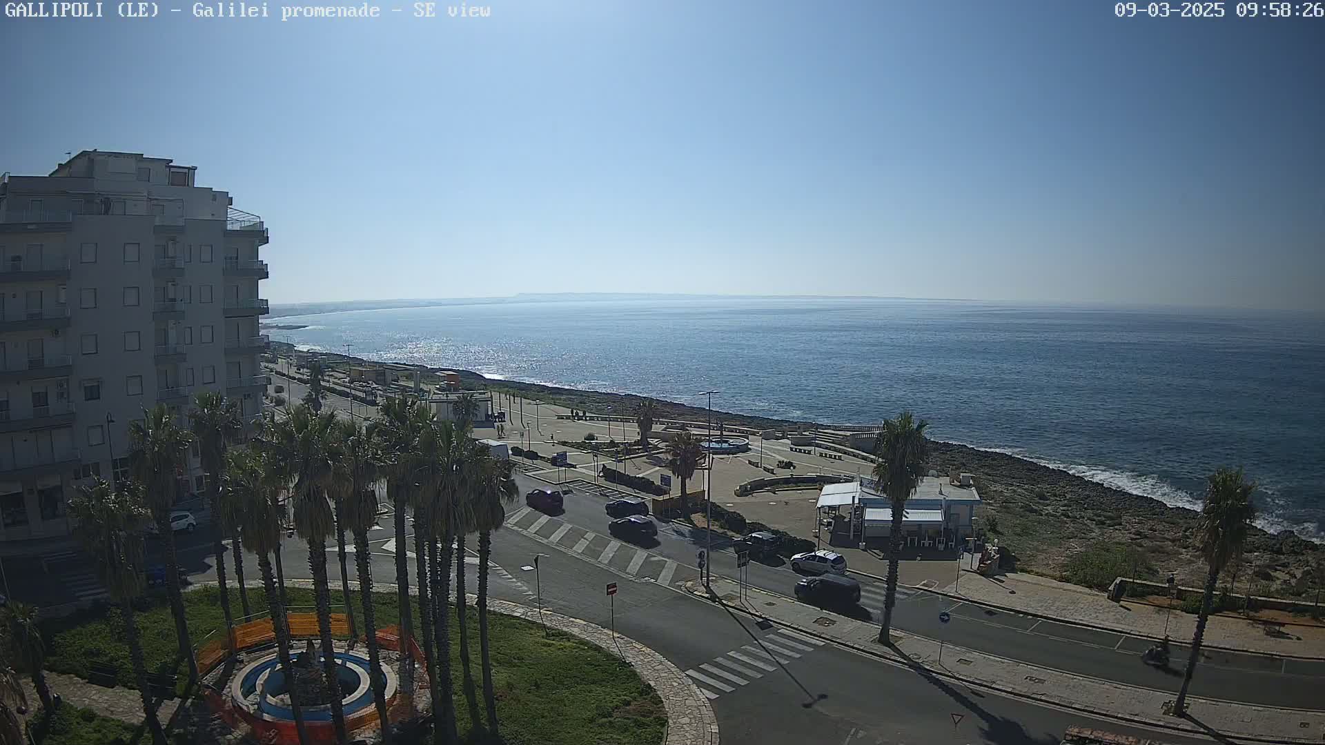 A seaside promenade with palm trees, a multi-story building, and several cars is visible on a sunny day with a calm, blue sea in the background.