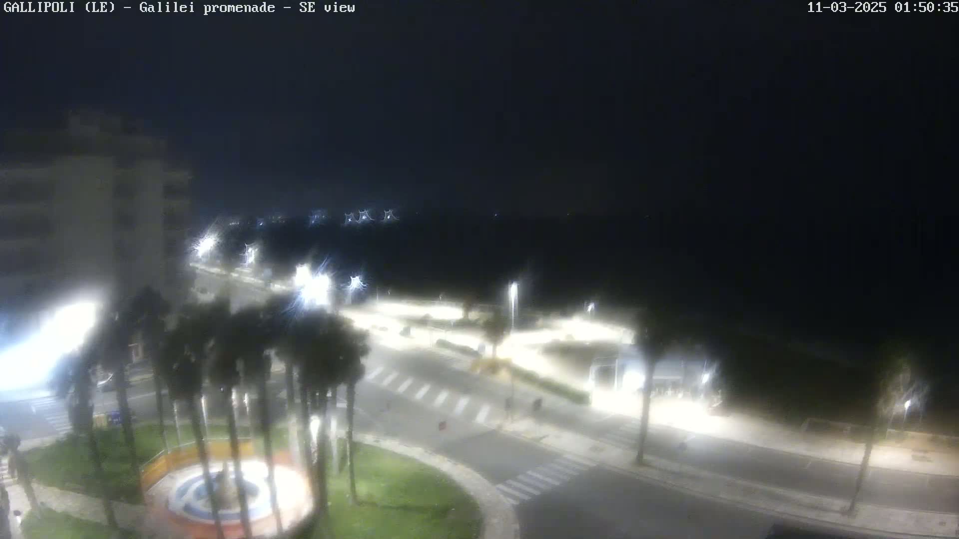 A nighttime, high-angle view of a city street scene with palm trees and streetlights illuminating a roadway and surrounding areas.