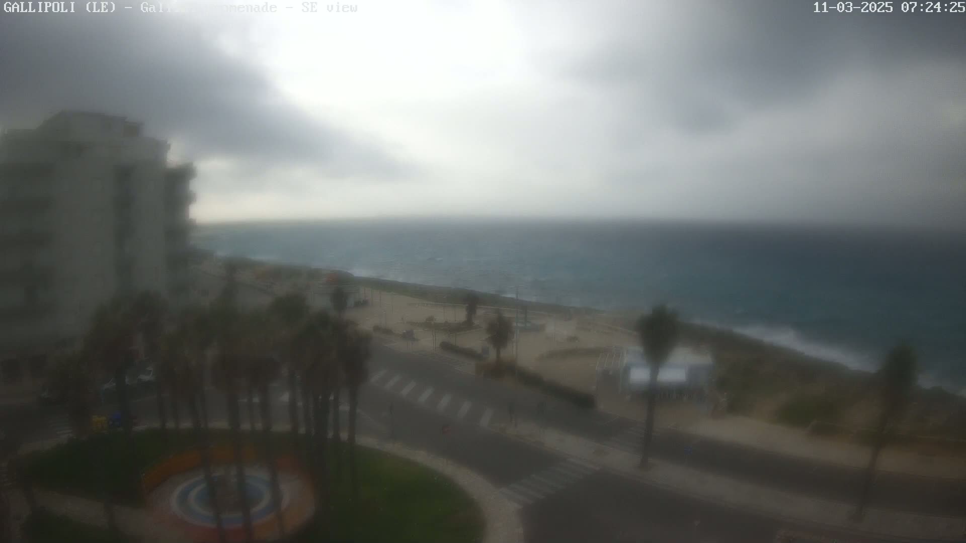 A blurry, overcast view shows a coastal town with palm trees lining a road next to a beach and ocean with some small waves.