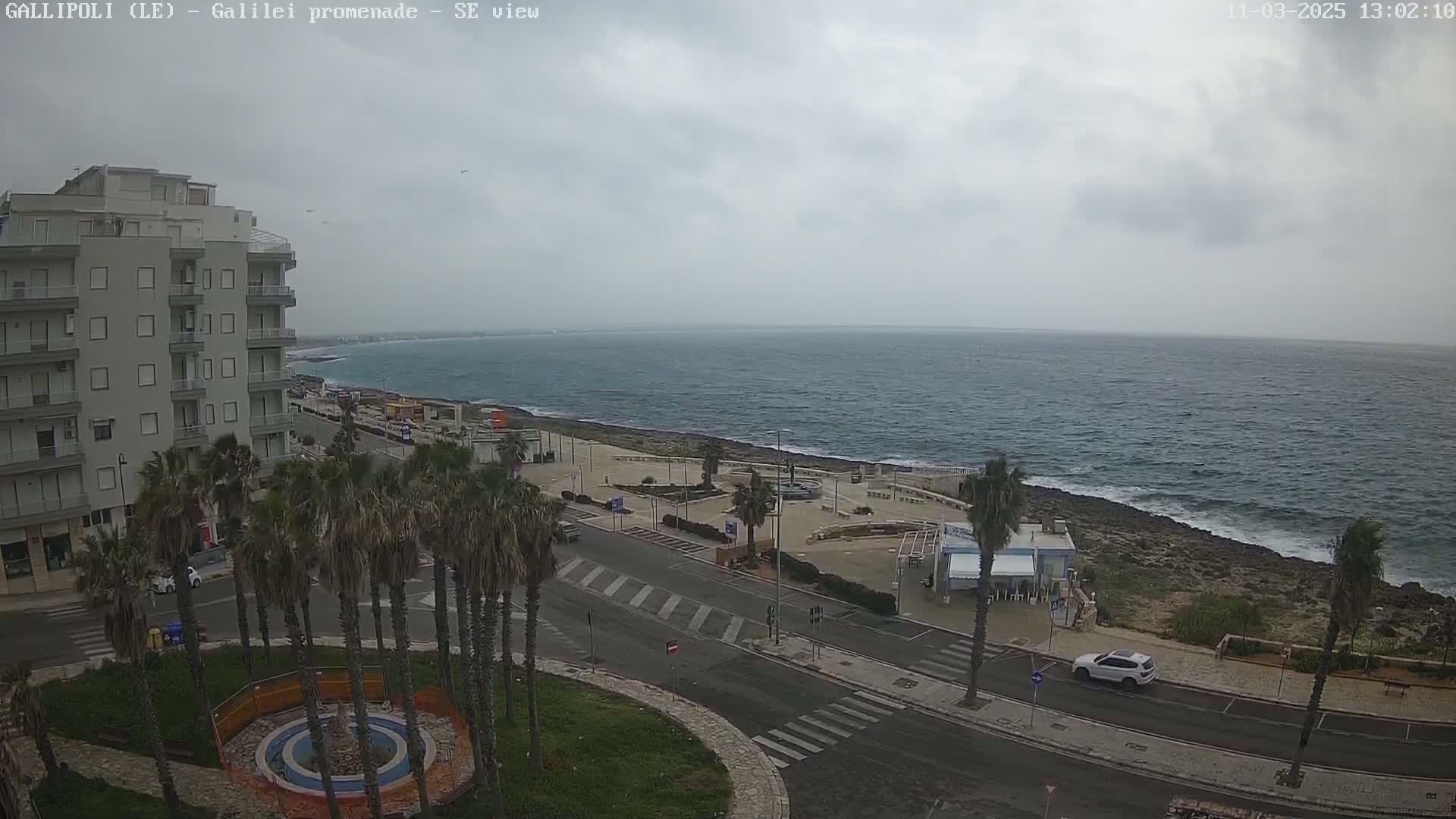 A seaside town with palm trees lining a road next to a calm ocean under an overcast sky.