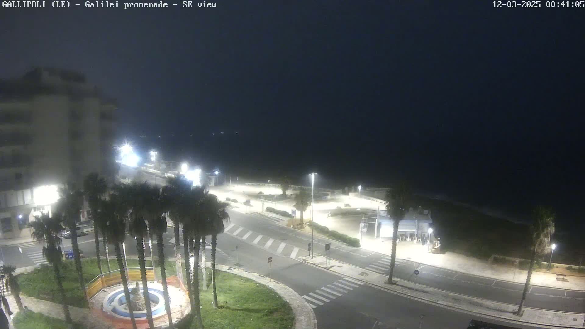 A nighttime, slightly hazy view of a coastal promenade with palm trees, streetlights, and a building in the background.
