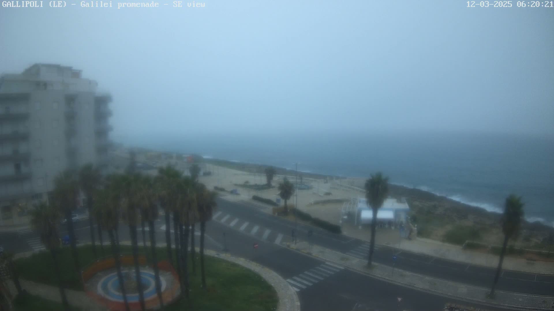 A foggy coastal scene shows a multi-story building, palm trees, a roadway, and a body of water with a rocky shore.