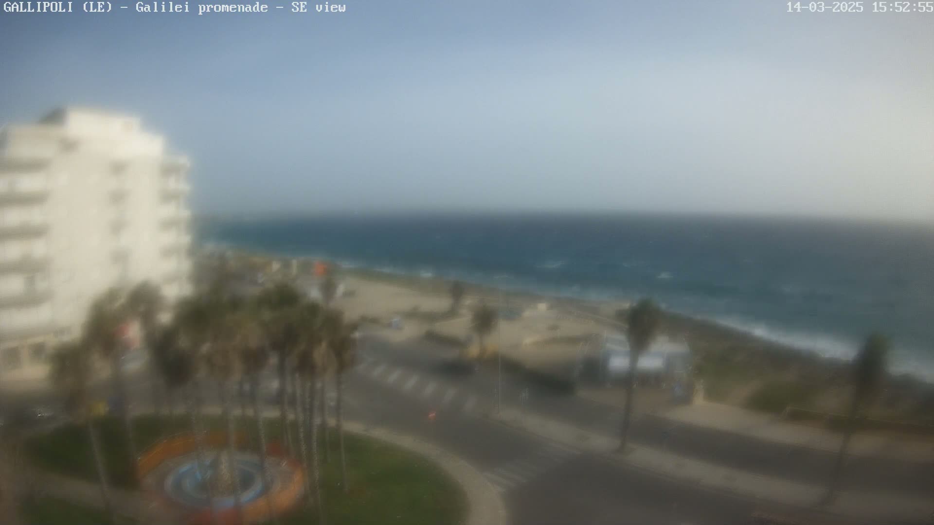 A hazy view shows a coastal scene with a multi-story building, palm trees, a roadway, and a partly-cloudy sky over a somewhat choppy sea.