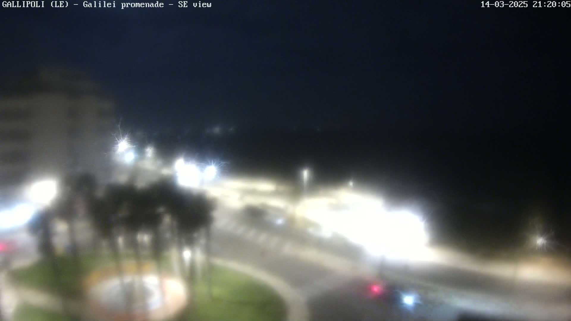 A nighttime, blurry view of a city intersection with some palm trees and streetlights.