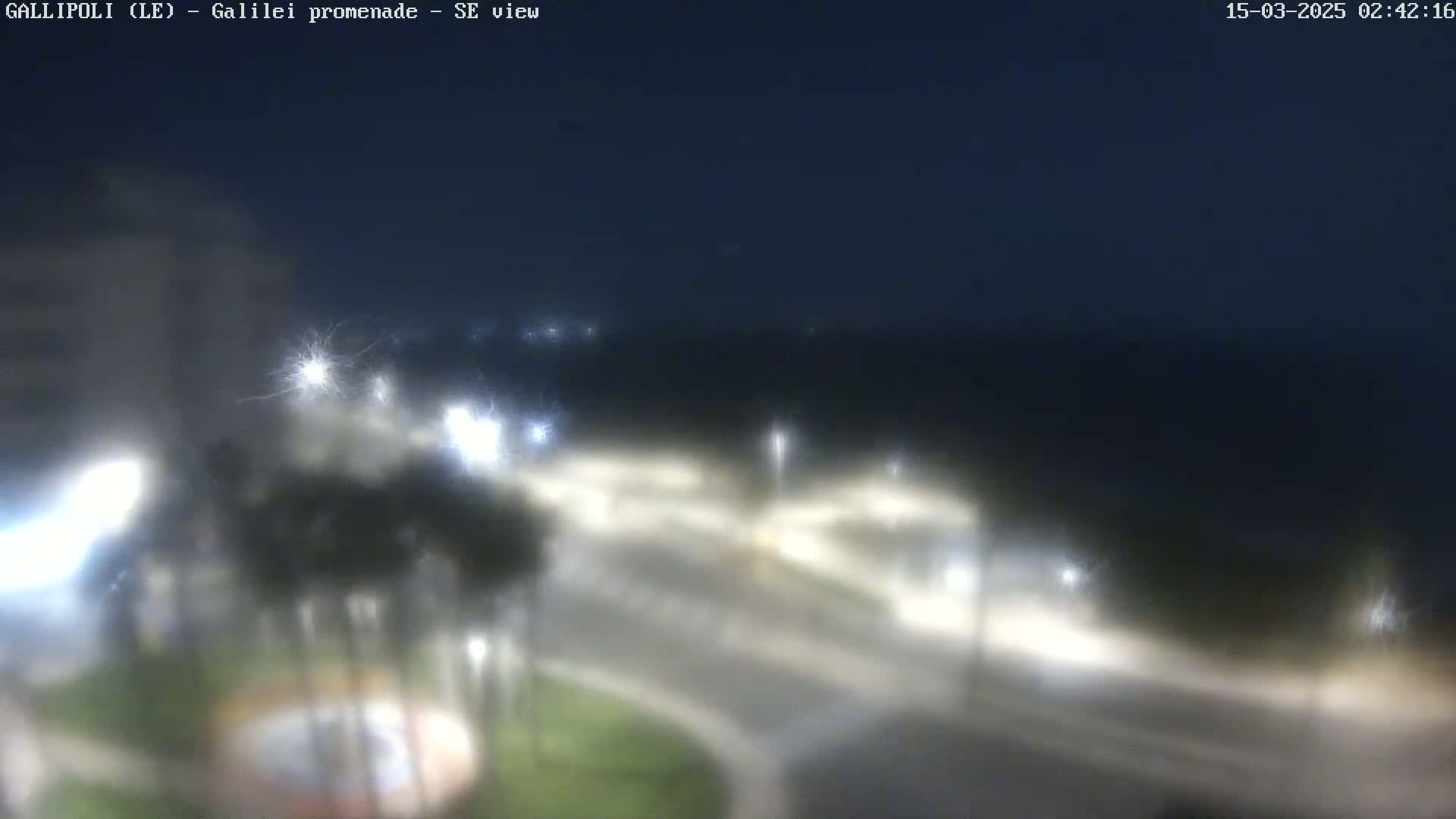 A nighttime, blurry view of a roadway intersection with surrounding lights and vegetation under a dark sky.
