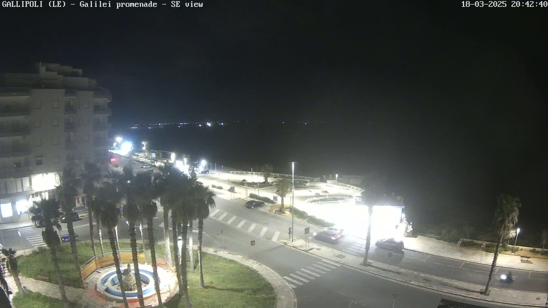 A nighttime, high-angle view of a seaside promenade with palm trees, parked cars, and a building, illuminated by streetlights.