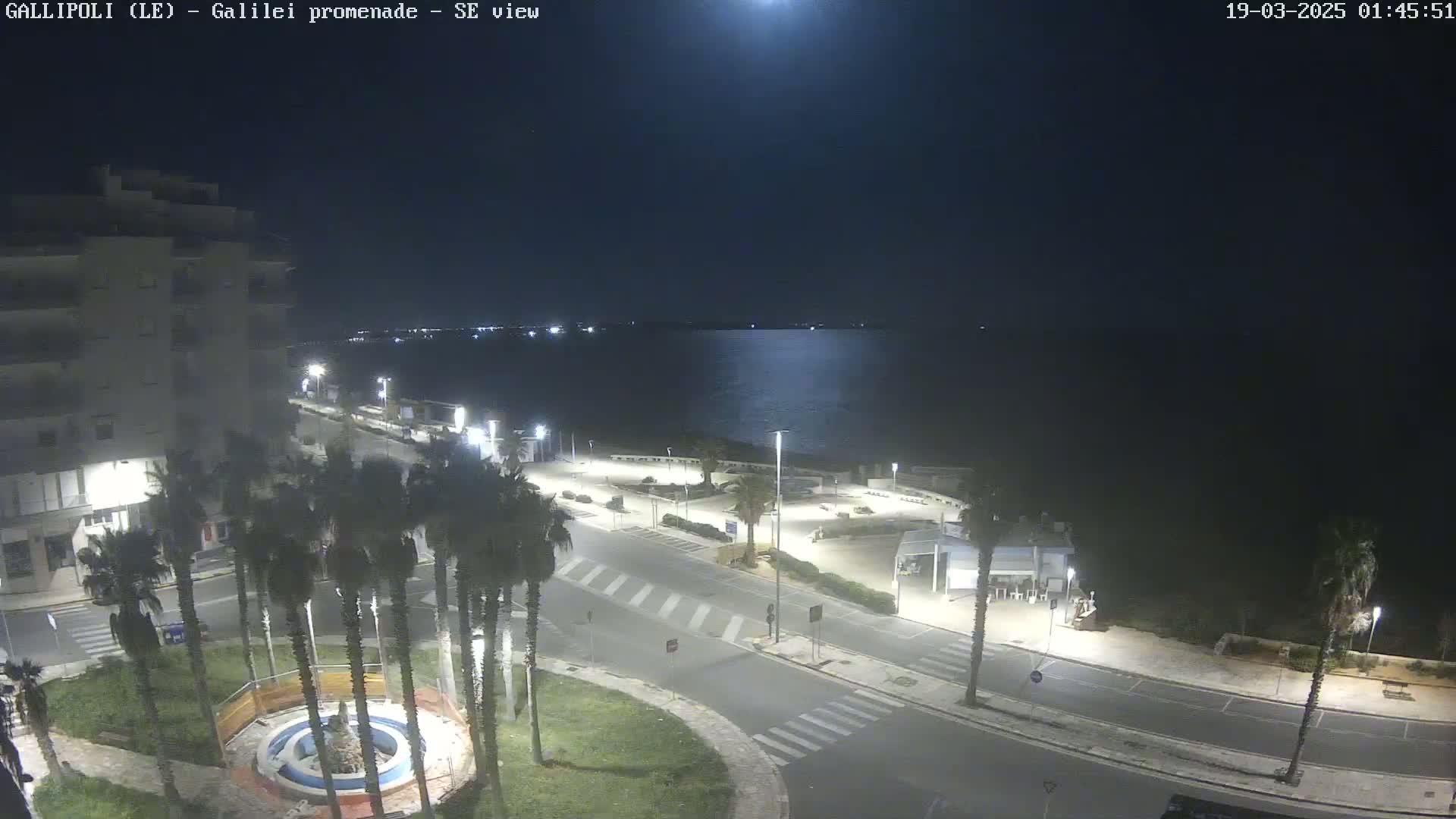 A nighttime, high-angle view shows a seaside promenade with palm trees, streetlights, and a building, under a clear, moonlit sky.