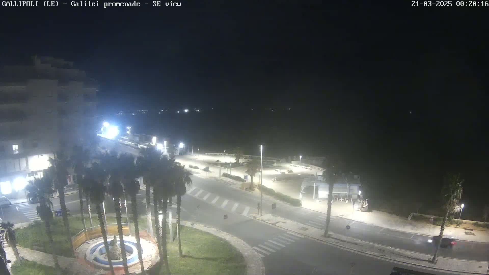 A nighttime, overhead view of a coastal promenade with palm trees, streetlights, and a building in the background.